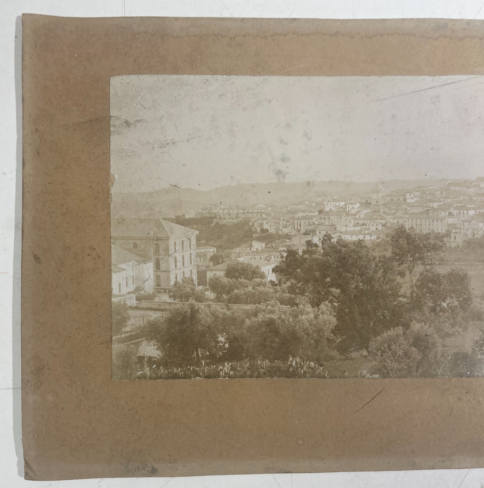 Calabria Catanzaro: Antica Veduta Panoramica. Rara Fotografia Originale, Fine '800