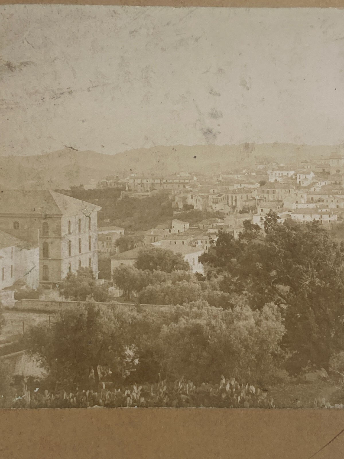 Calabria Catanzaro: Antica Veduta Panoramica. Rara Fotografia Originale, Fine '800