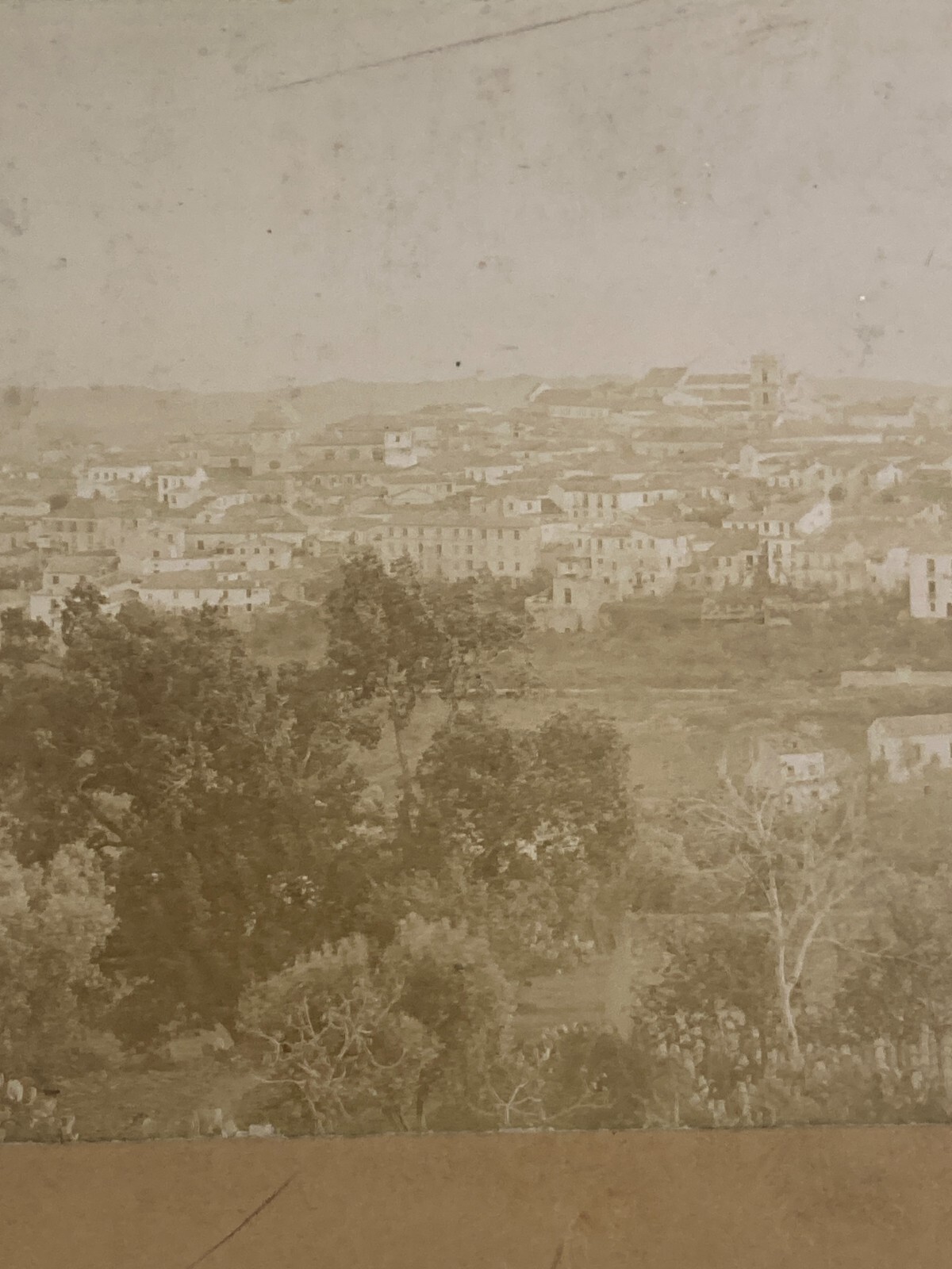 Calabria Catanzaro: Antica Veduta Panoramica. Rara Fotografia Originale, Fine '800