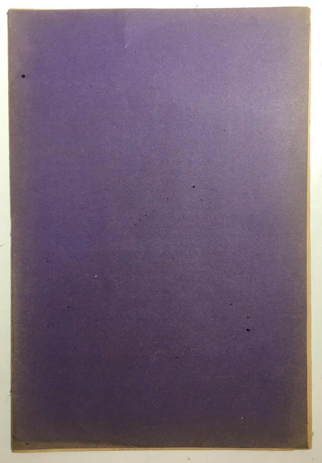 Rieti, Pescorocchiano, S. Lucia Gioverotondo: Vertenza Legale Morelli, Bellini, Barone Arnone, 1894
