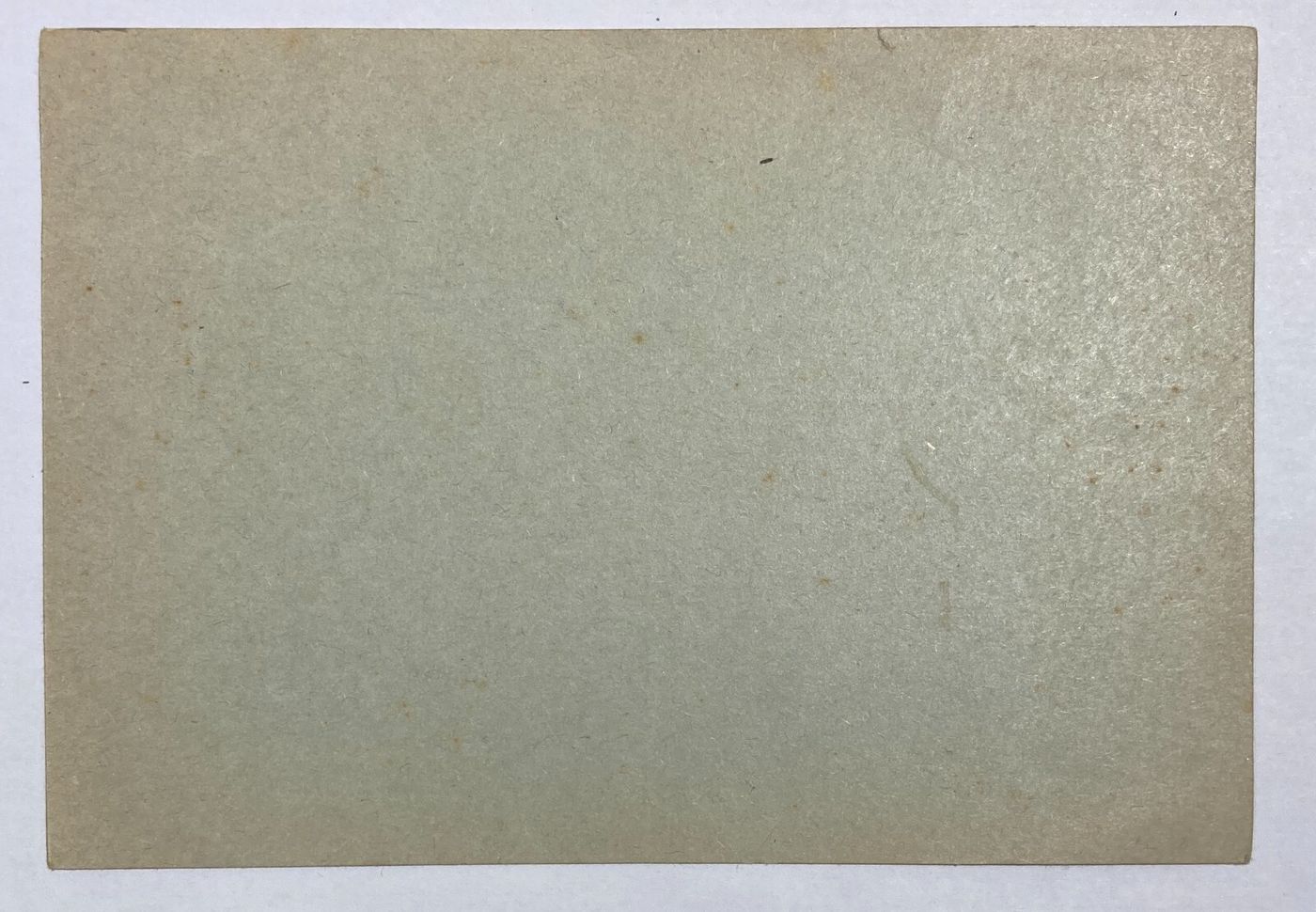 Abruzzo, Vasto, Artigianato: Selleria Santoro, Cartolina Pubblicitaria d'Epoca Rara