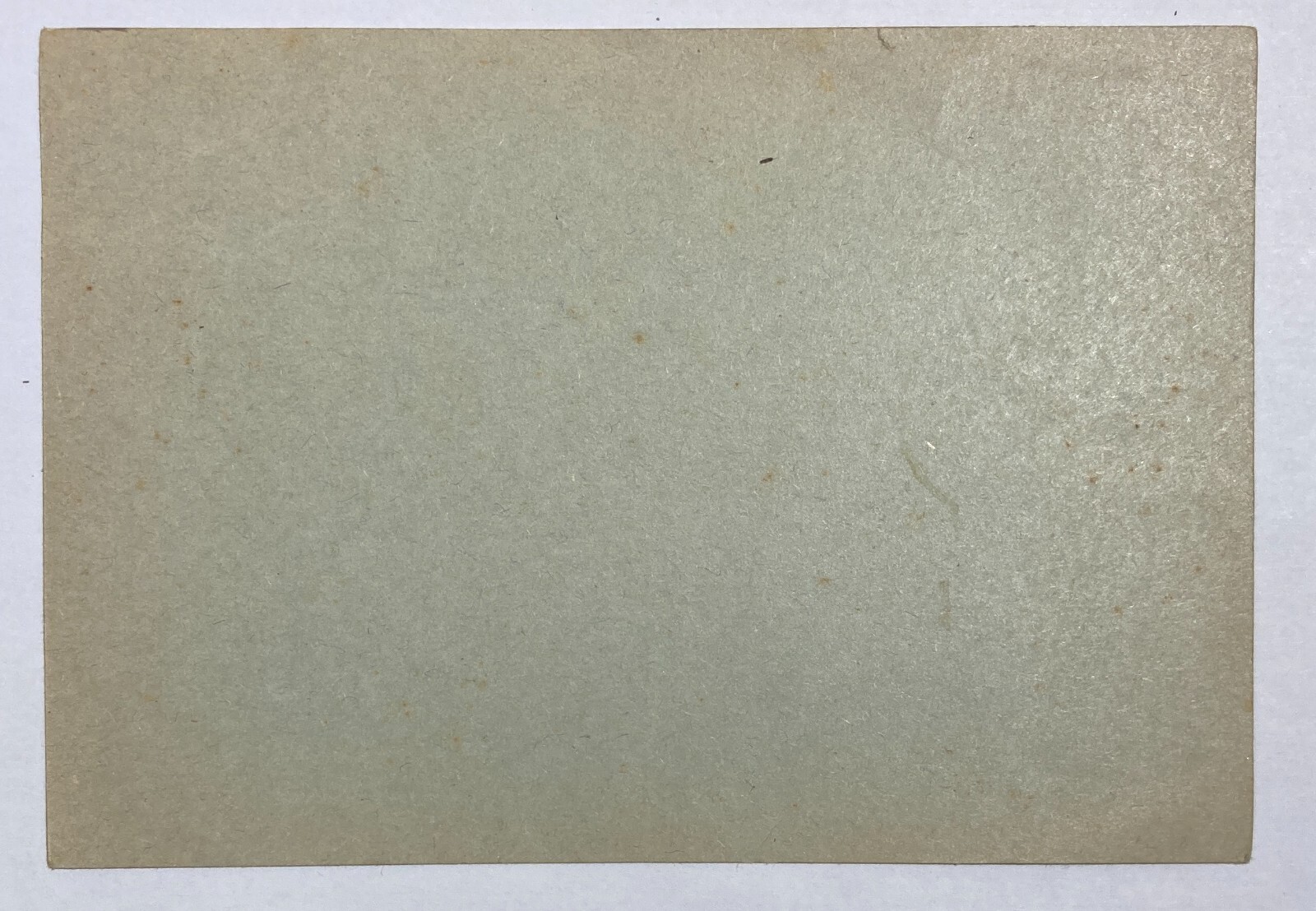 Abruzzo, Vasto, Artigianato: Selleria Santoro, Cartolina Pubblicitaria d'Epoca Rara