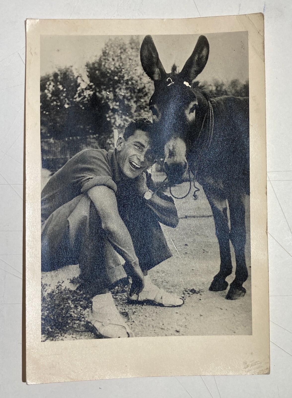 Fotografia Da Collezione: Ritratto Di Uomo Con Asino, Metà '900
