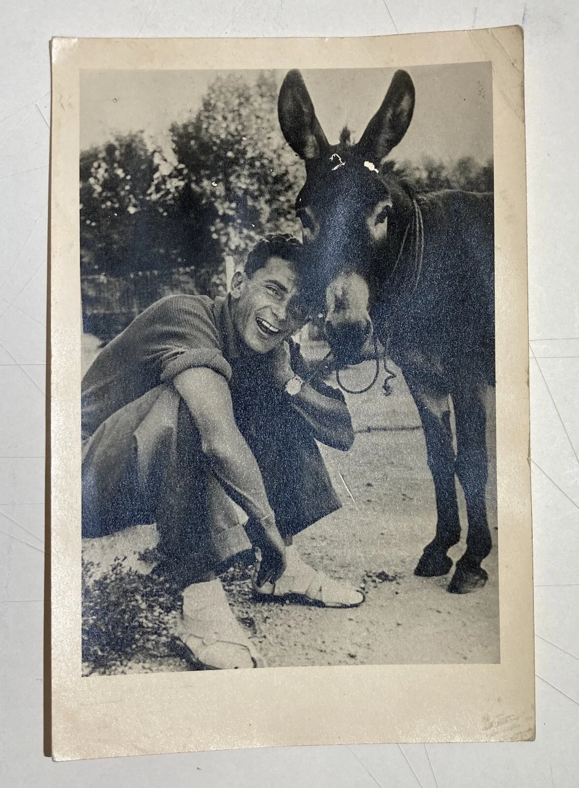 Fotografia da Collezione: Ritratto di Uomo con Asino, Metà '900