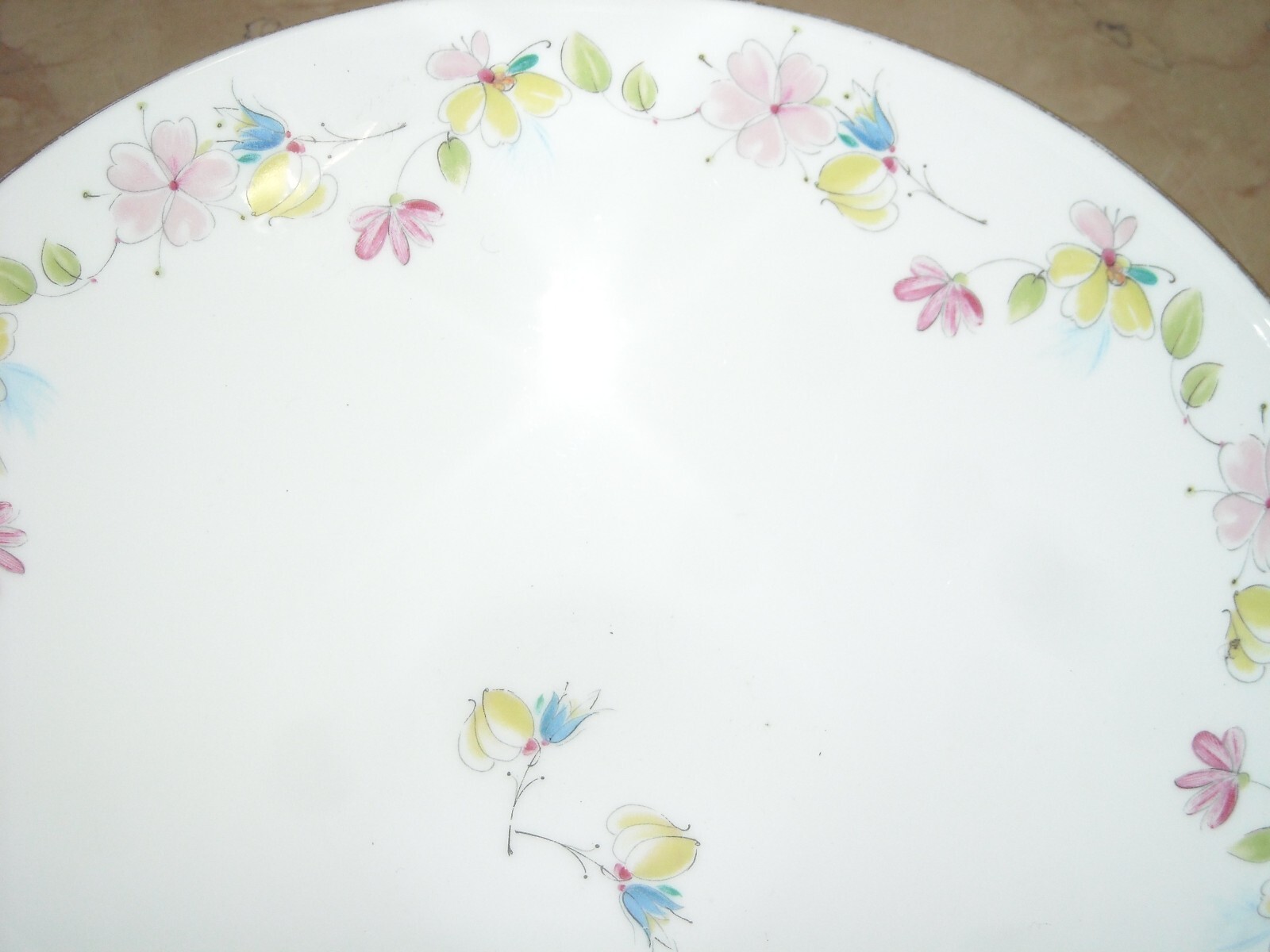 Porcellana Decorativa E Da Collezione, Baviera, Hutschenreuther, Decori Floreali