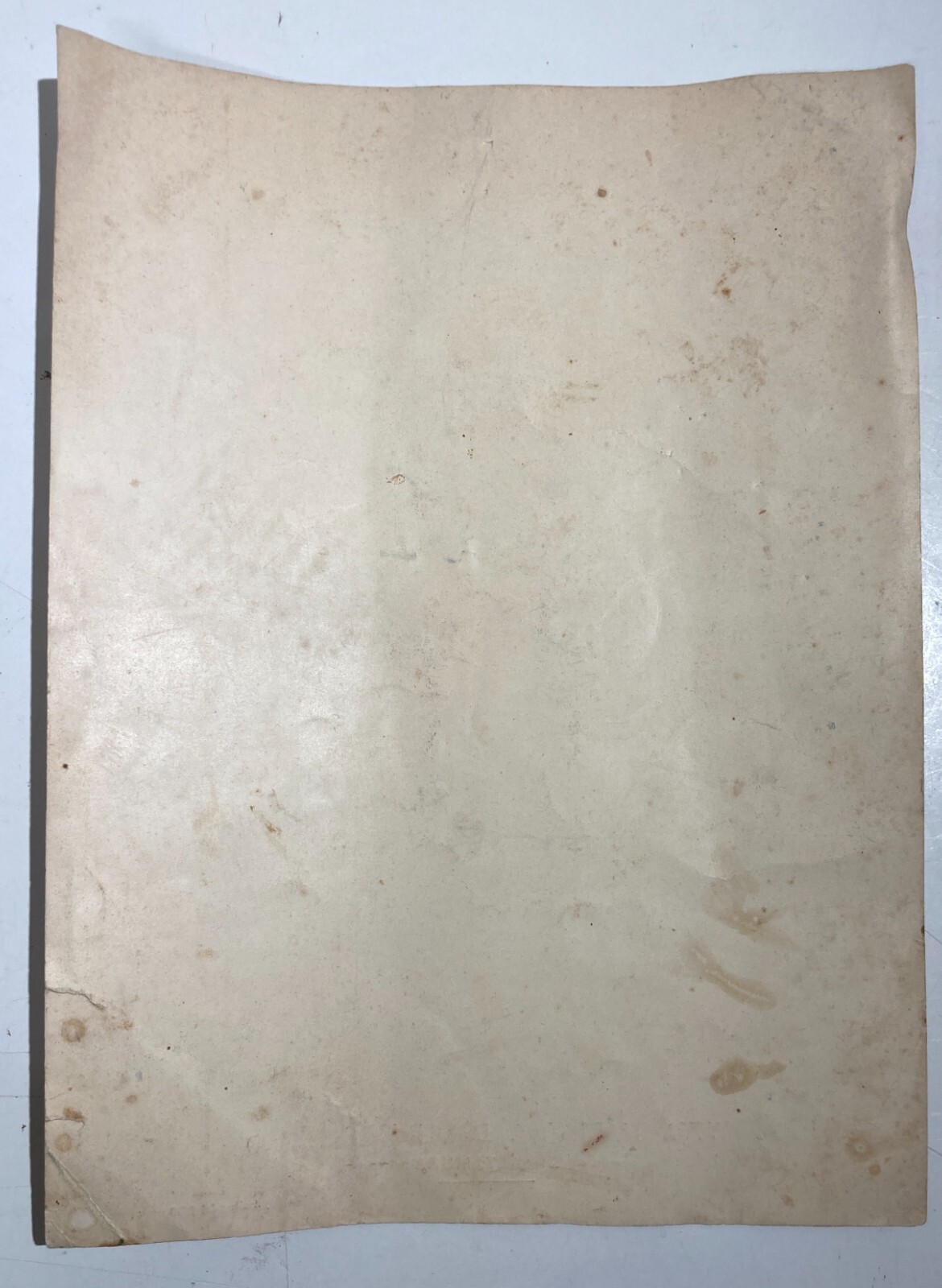 Puglia, Bari, Altamura: Antica Stampa Devozionale Della Madonna Del Buoncammino, 1910
