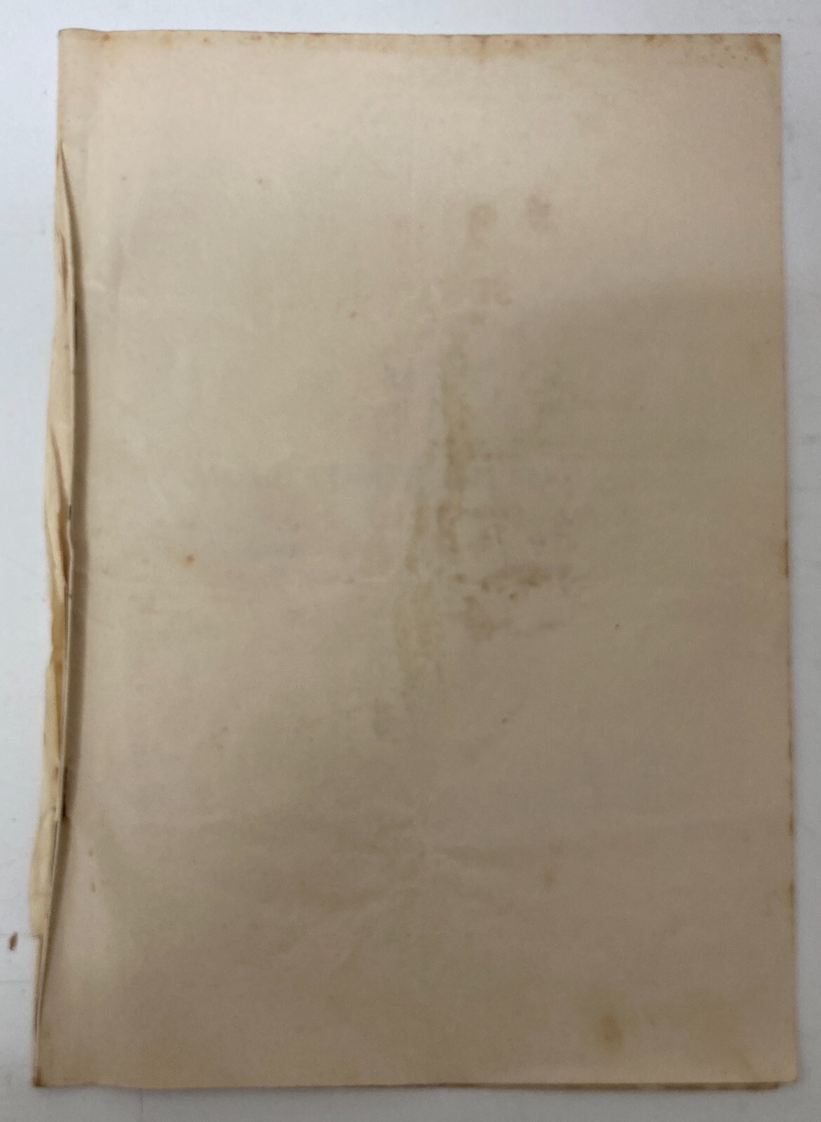 Arte, Antiquariato, Firenze: Vendita Collezione Galanti. Maioliche, Dipinti, Stoffe, 1925