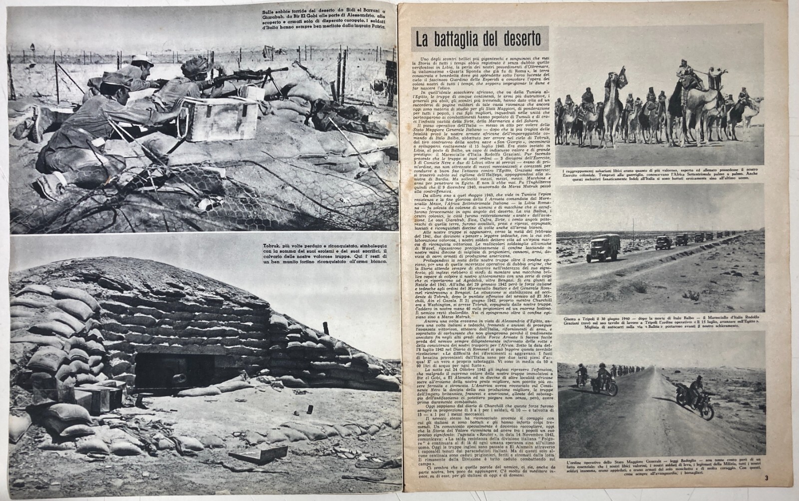 Militaria Africa Colonie Tobruk El Alamein Battaglia Nel Deserto Illustrato 1955