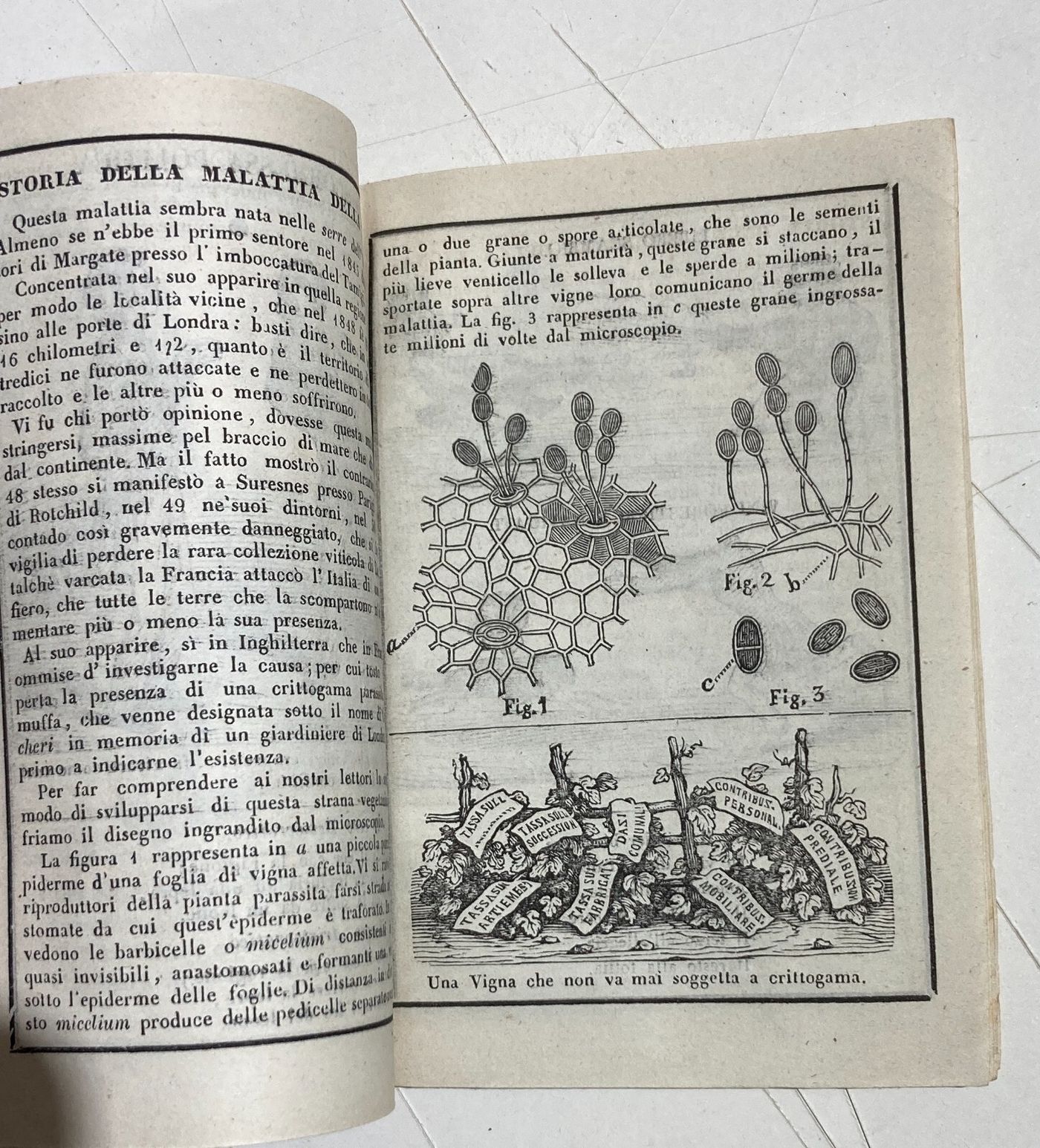 Umorismo, Satira, Politica, Risorgimento: Antico Almanacco Di Sanremo, Liguria, 1853