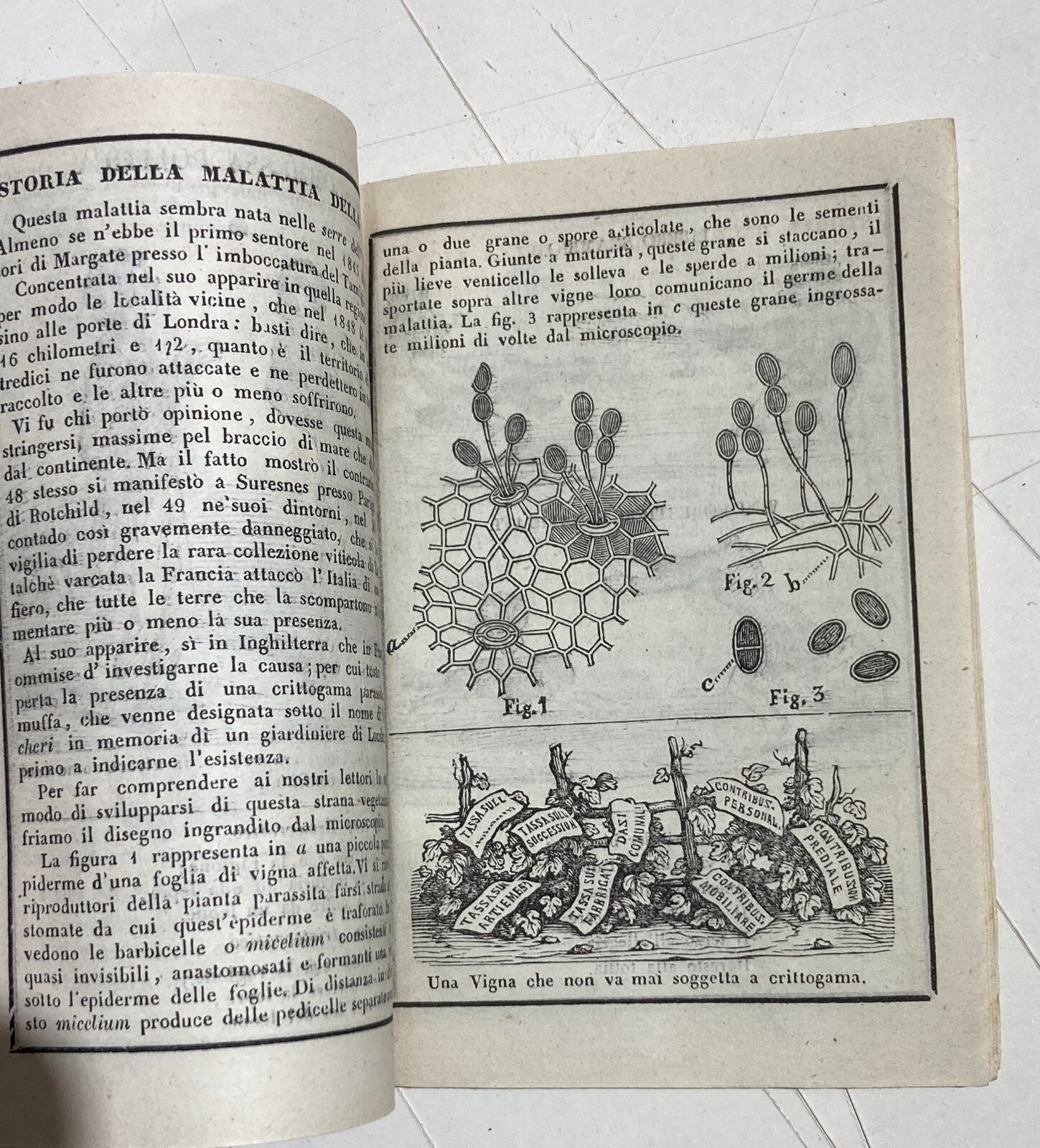 Umorismo, Satira, Politica, Risorgimento: Antico Almanacco Di Sanremo, Liguria, 1853
