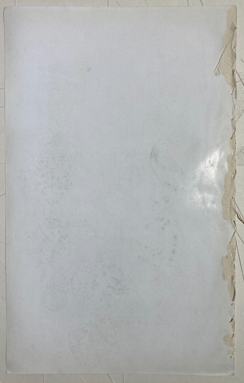 Medaglie Di Benemerenza   Terremoto Calabria E Sicilia Del 1908   Antica Stampa
