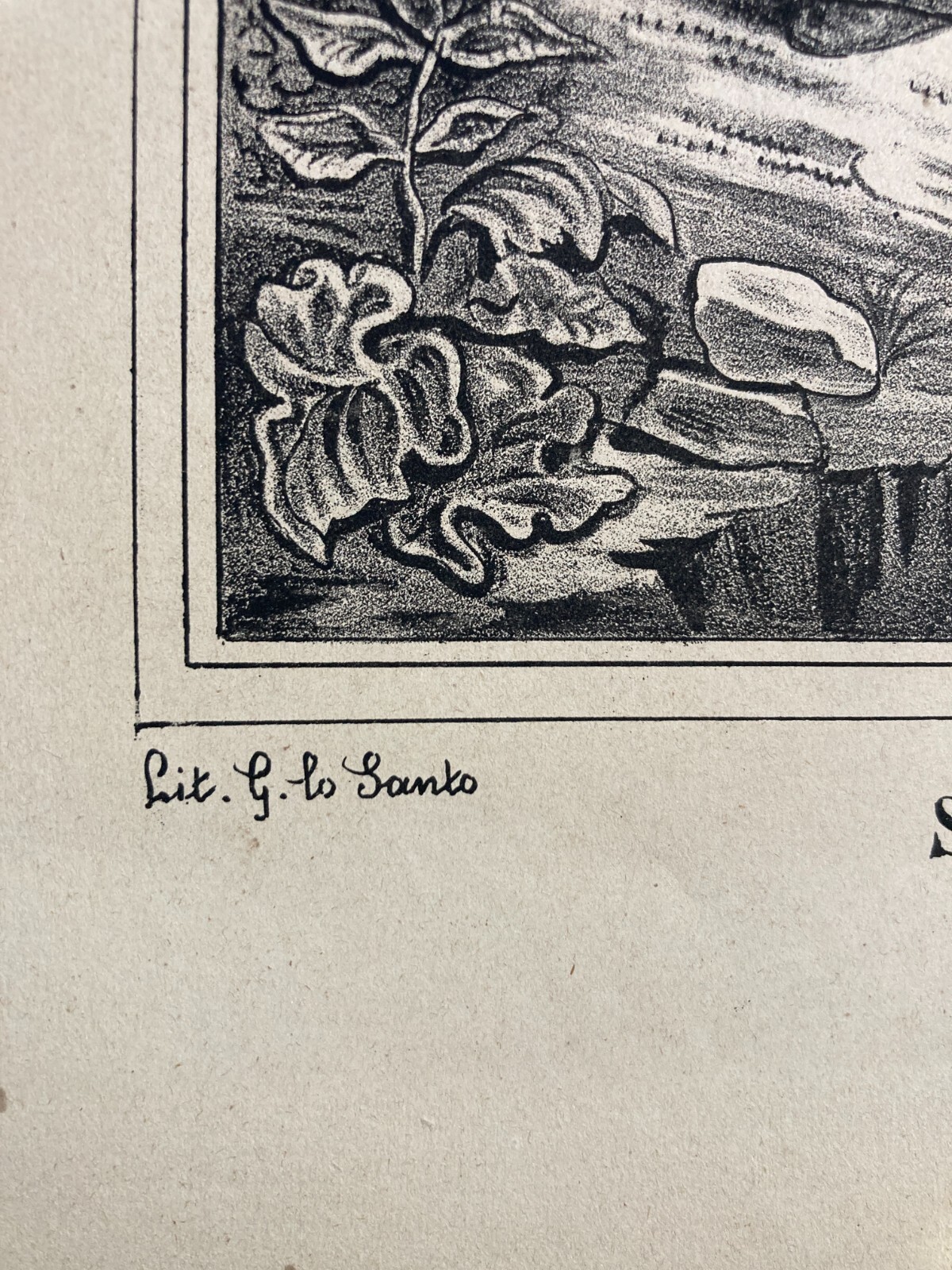 Sant'Antonio Di Padova Predica Ai Pesci. Antica Stampa Popolare Devozionale Di Lo Santo
