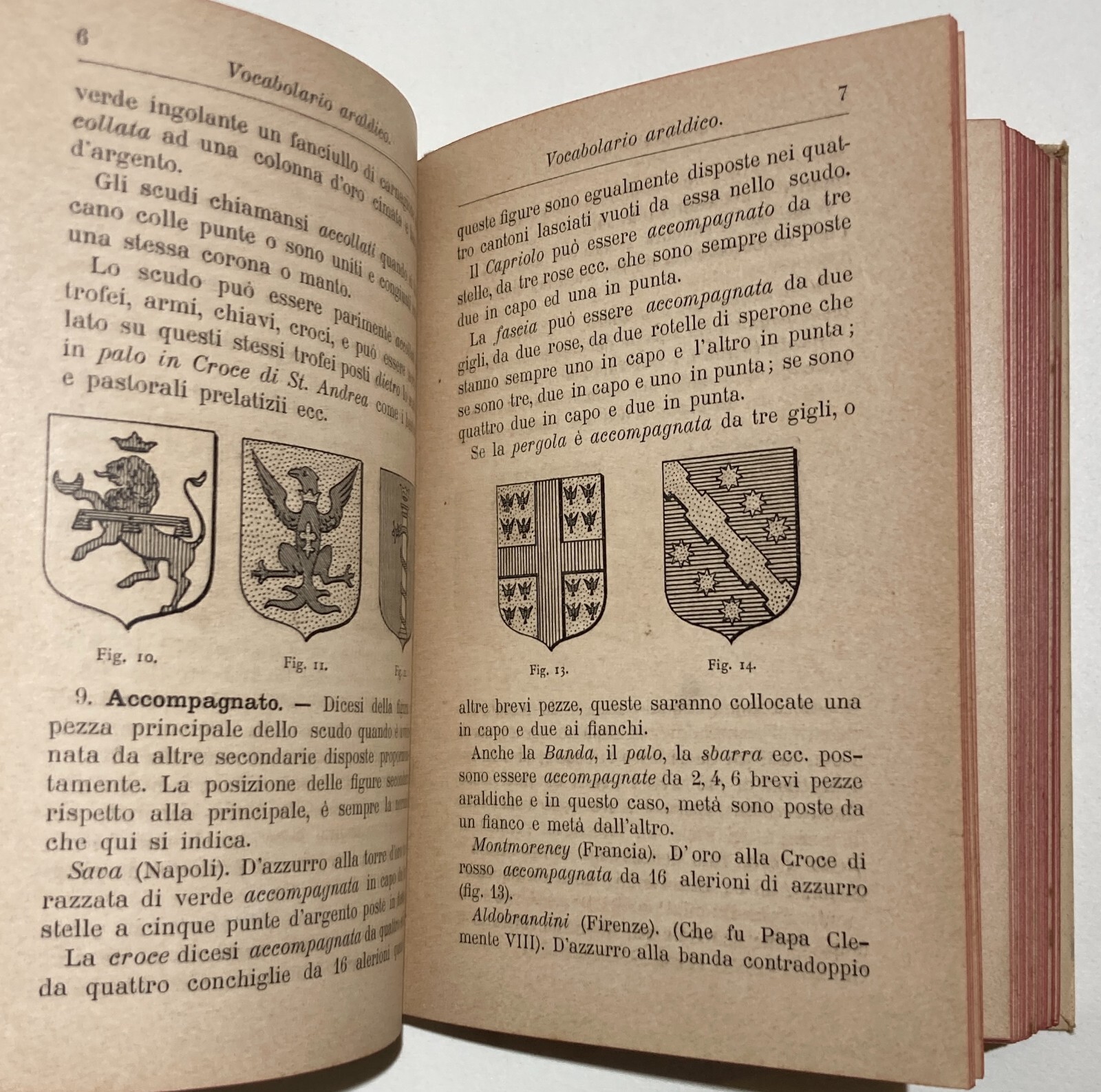 Araldica, Nobiltà: Antico Manuale Vocabolario Araldico, Hoepli, 1897, Illustrato