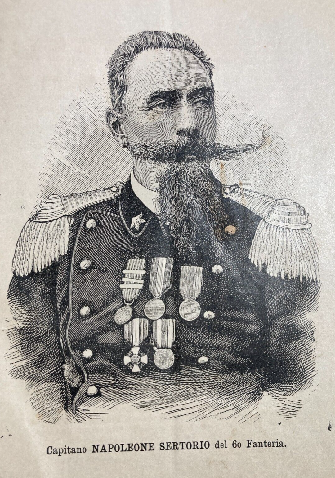 Militaria: Capitano Napoleone Sertorio, 60° Fanteria   Antico Ritratto