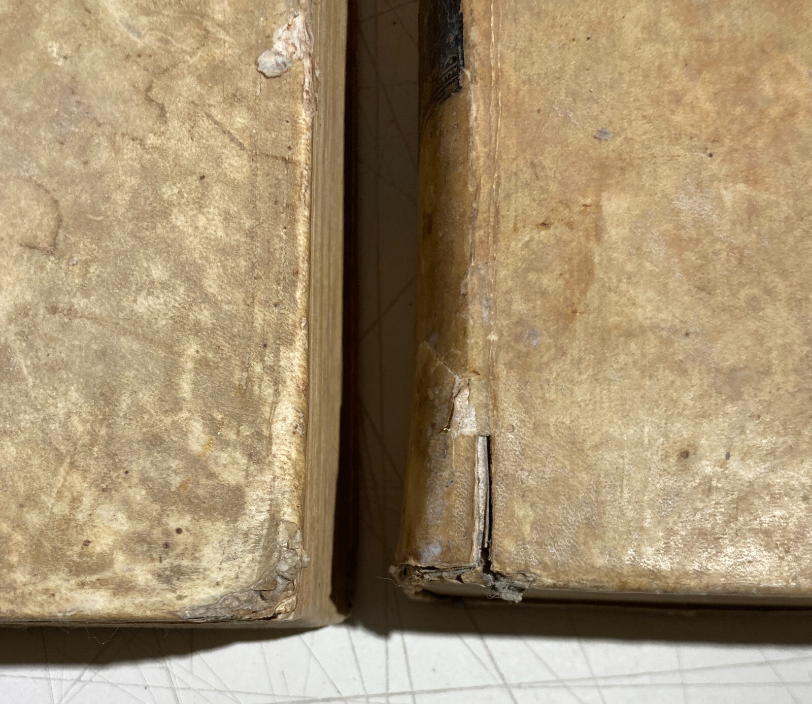 Antico Dizionario Italiano E Francese, Due Grossi Volumi, Alberti Truffi, 1840