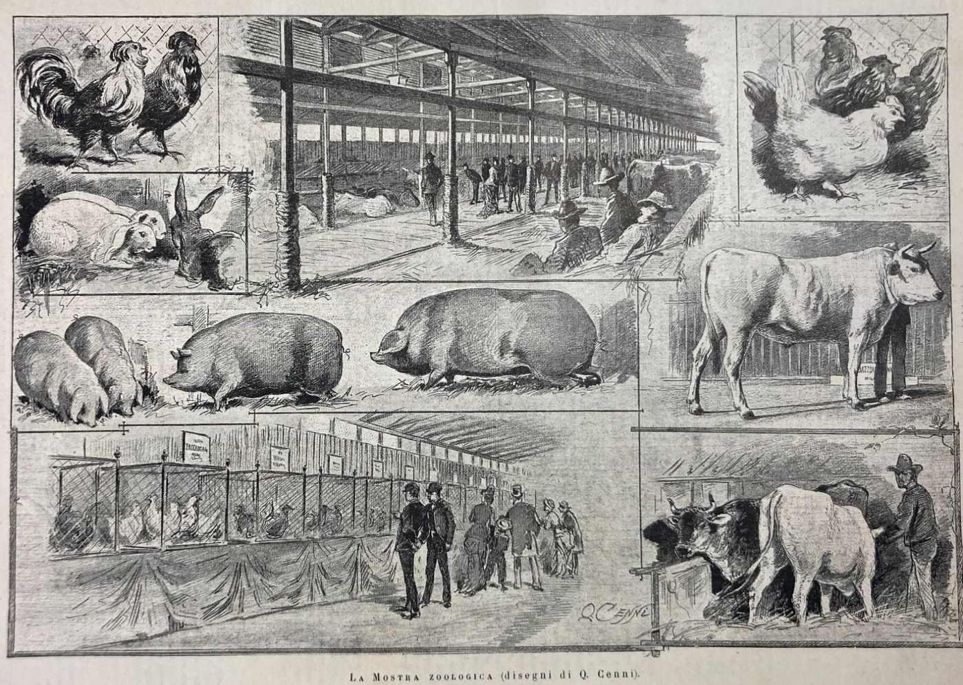 Esposizione Di Torino 1884: Padiglione Della Zoologia E Zootecnia   Xilografia Di Quinto Cenni