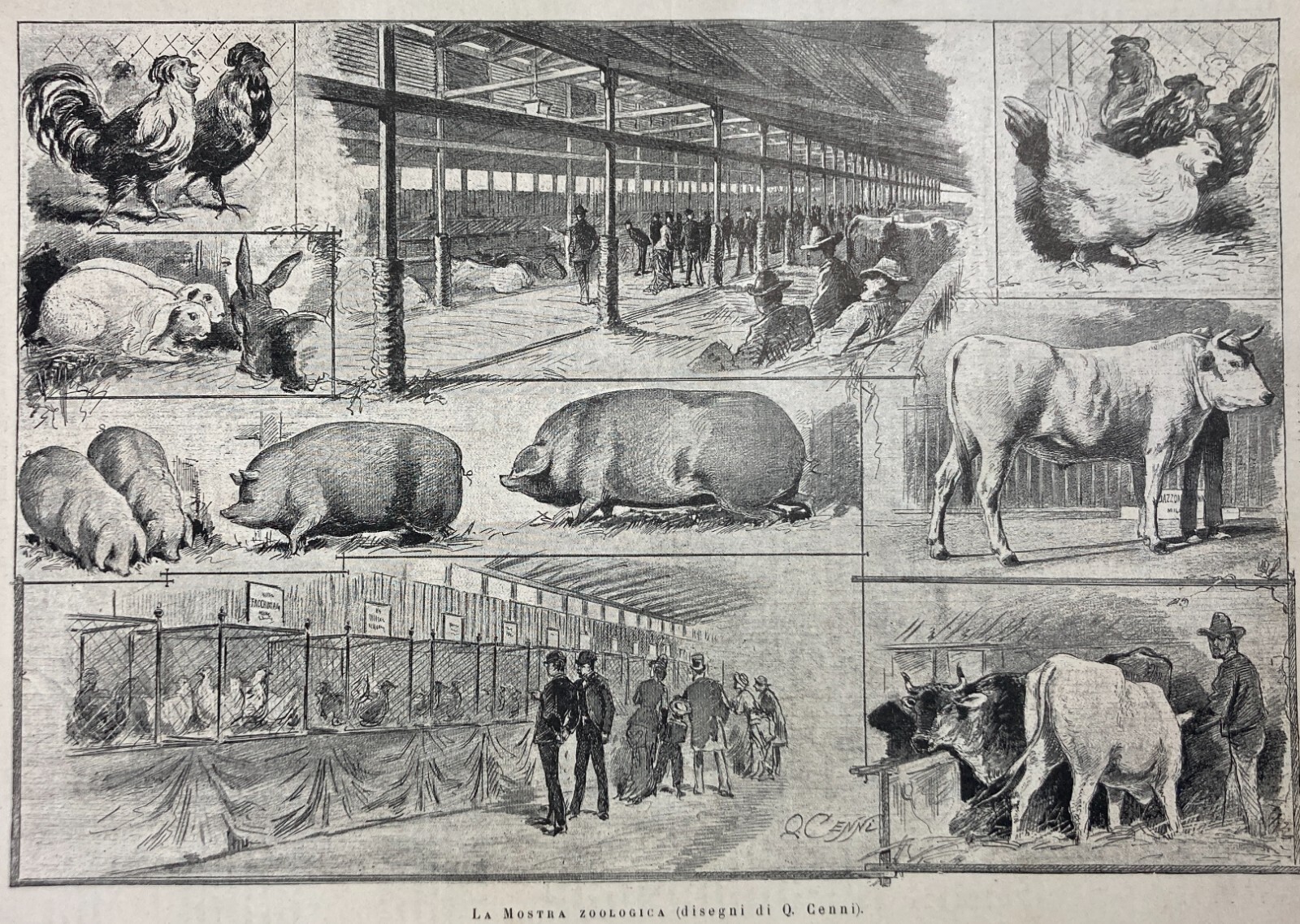 Esposizione Di Torino 1884: Padiglione Della Zoologia E Zootecnia Xilografia Di Quinto Cenni