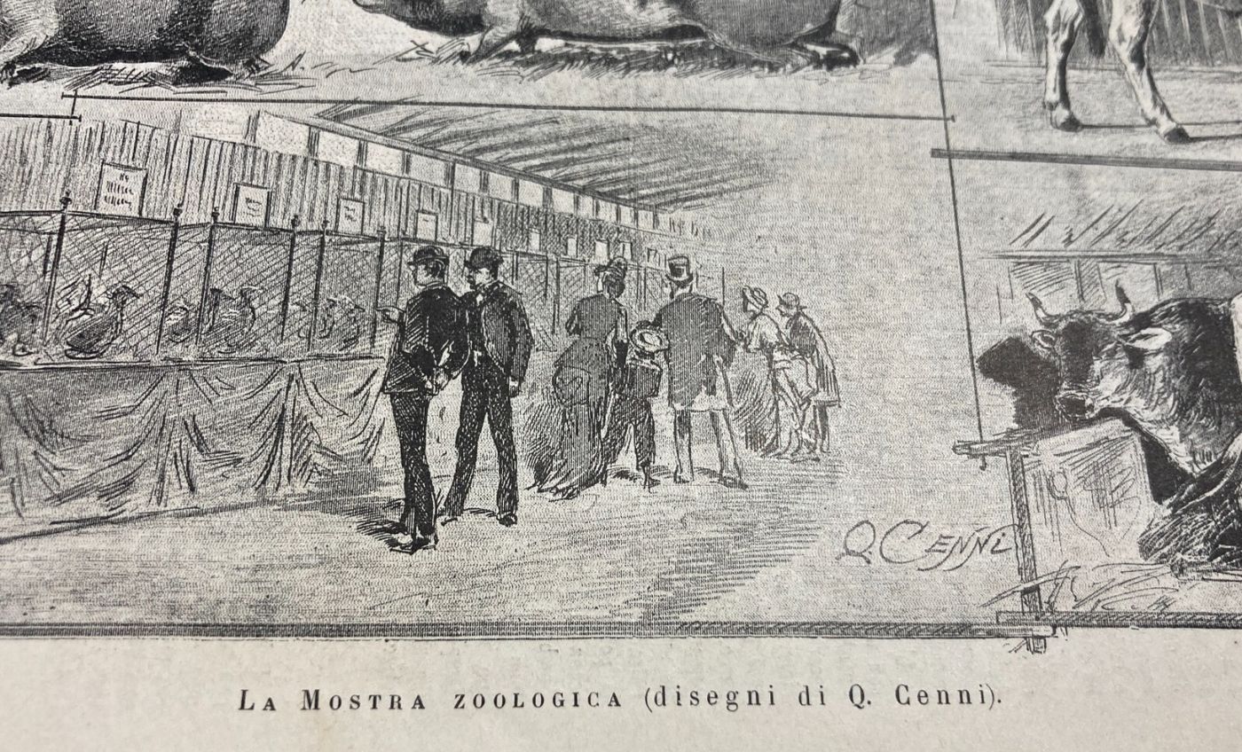 Esposizione Di Torino 1884: Padiglione Della Zoologia E Zootecnia   Xilografia Di Quinto Cenni