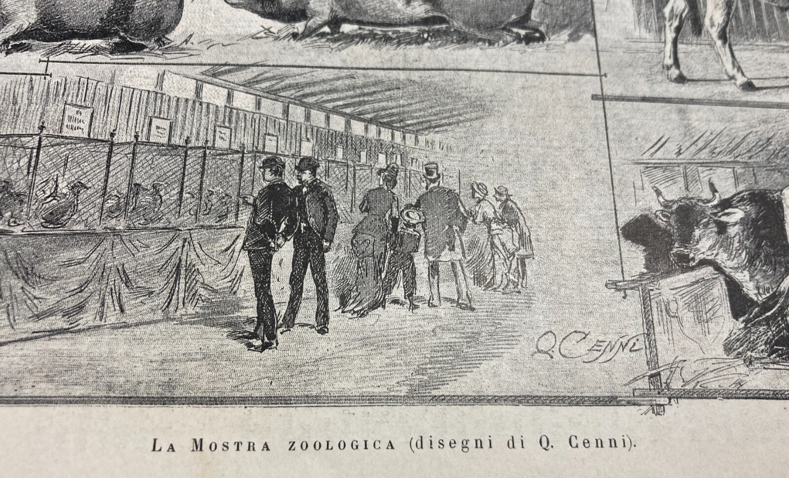 Esposizione Di Torino 1884: Padiglione Della Zoologia E Zootecnia Xilografia Di Quinto Cenni