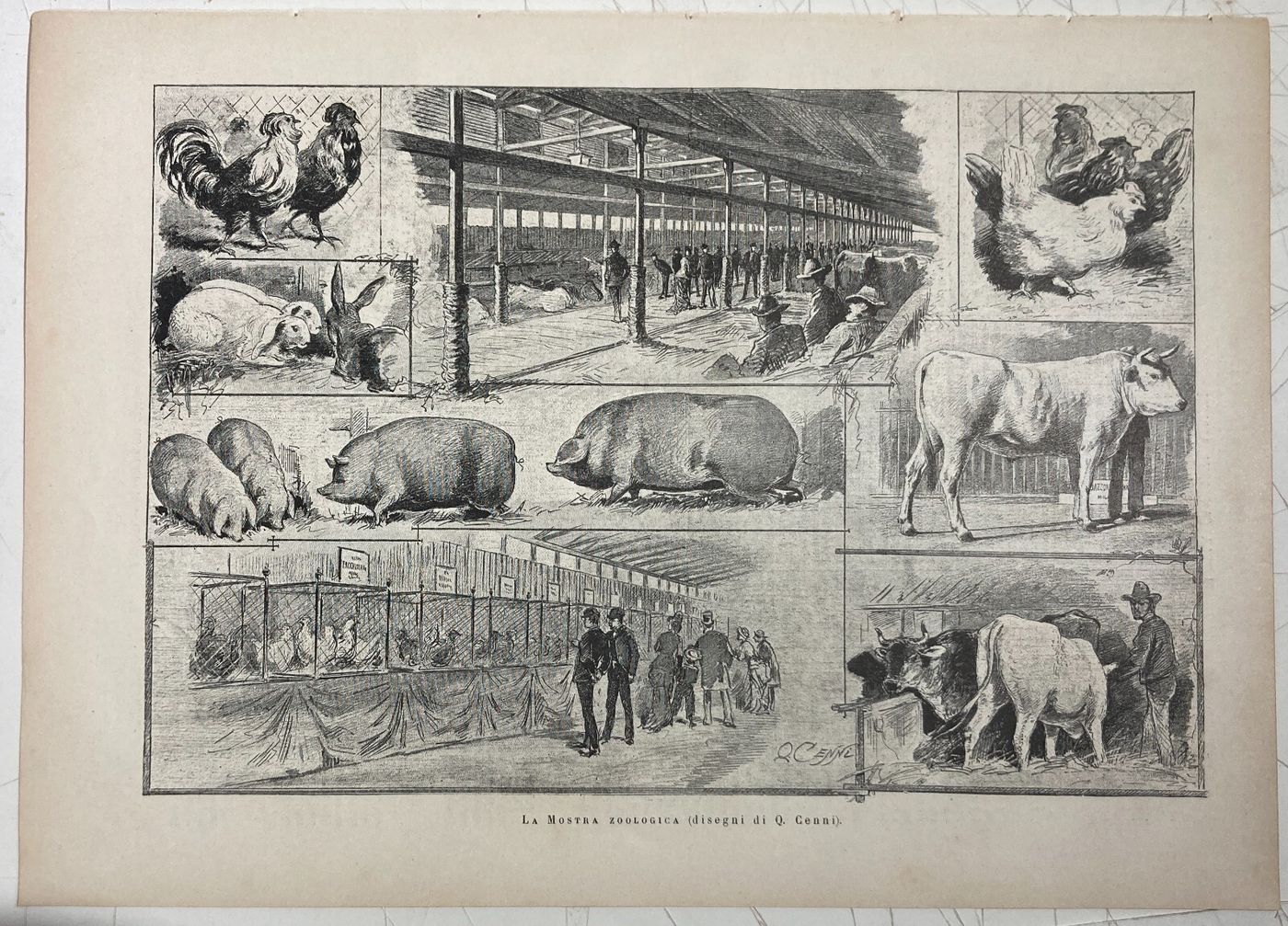 Esposizione Di Torino 1884: Padiglione Della Zoologia E Zootecnia   Xilografia Di Quinto Cenni