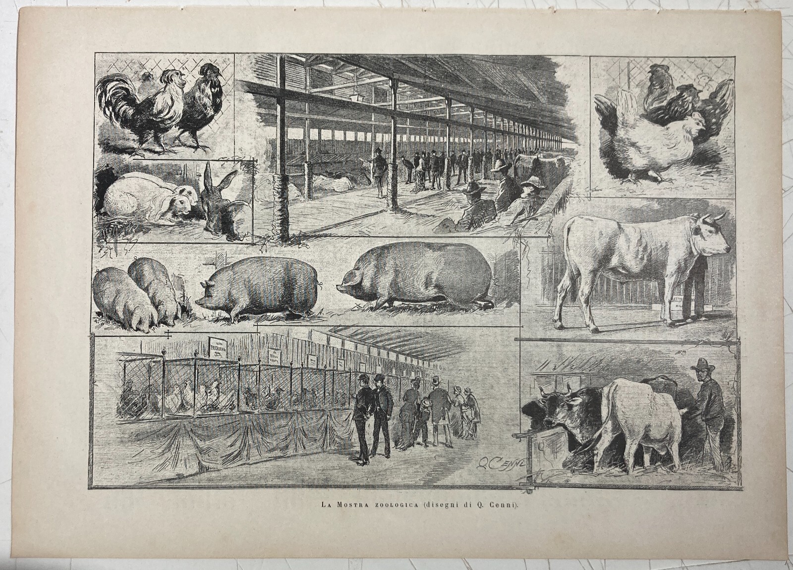 Esposizione Di Torino 1884: Padiglione Della Zoologia E Zootecnia Xilografia Di Quinto Cenni