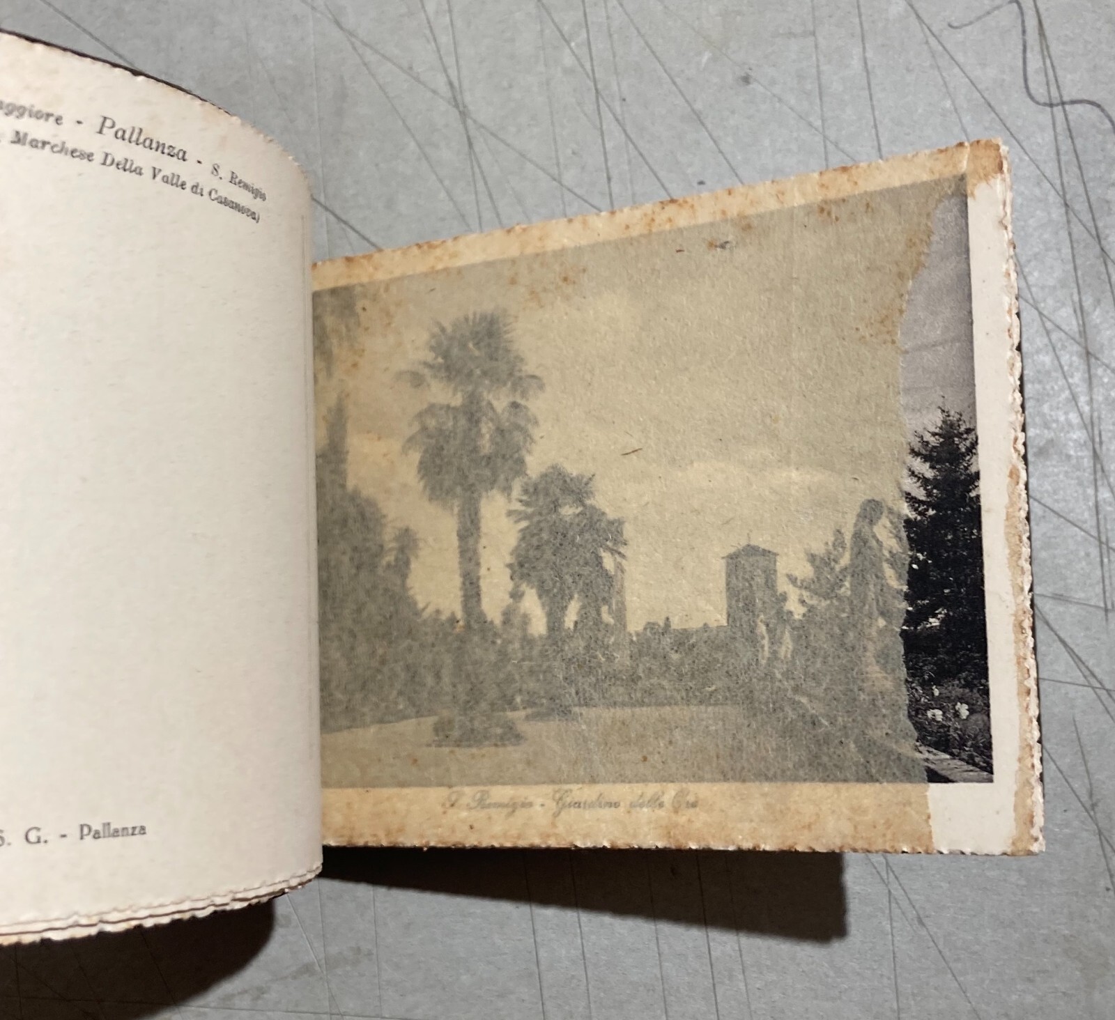 Piemonte, Pallanza, San Remigio: Antica Raccolta Di Vedute Fotografiche E Cartoline