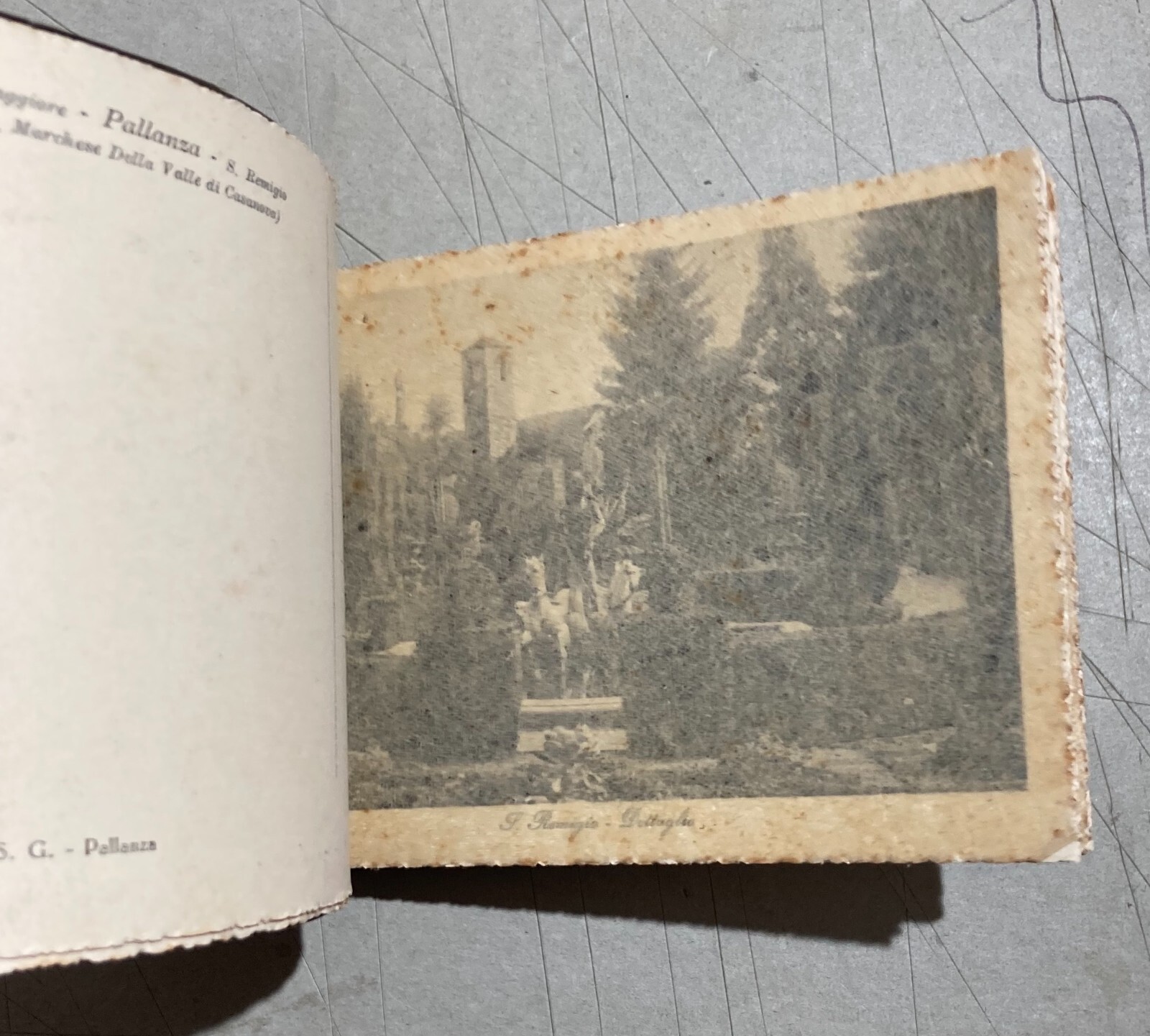 Piemonte, Pallanza, San Remigio: Antica Raccolta Di Vedute Fotografiche E Cartoline