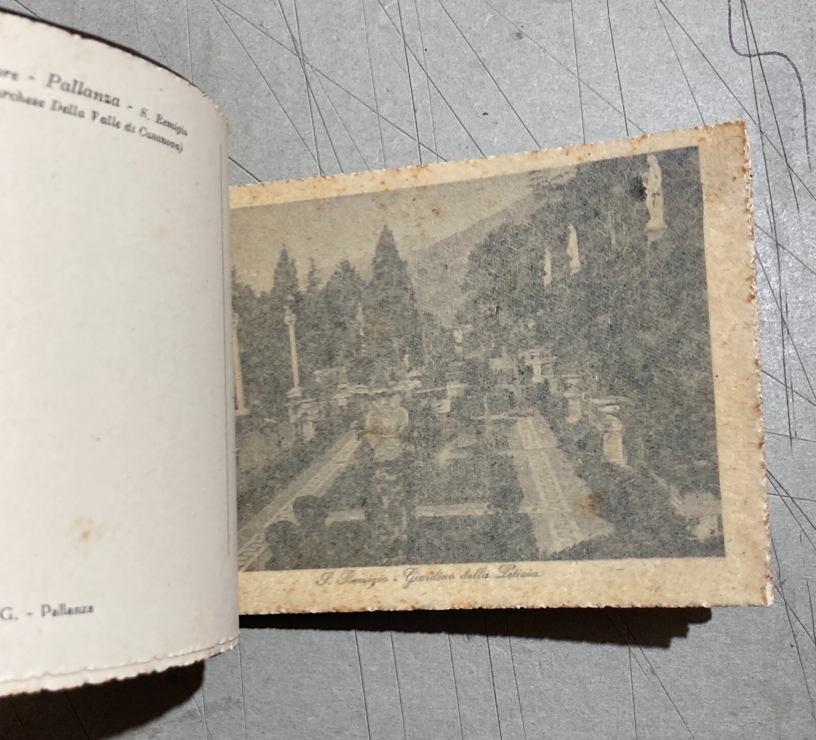 Piemonte, Pallanza, San Remigio: Antica Raccolta Di Vedute Fotografiche E Cartoline
