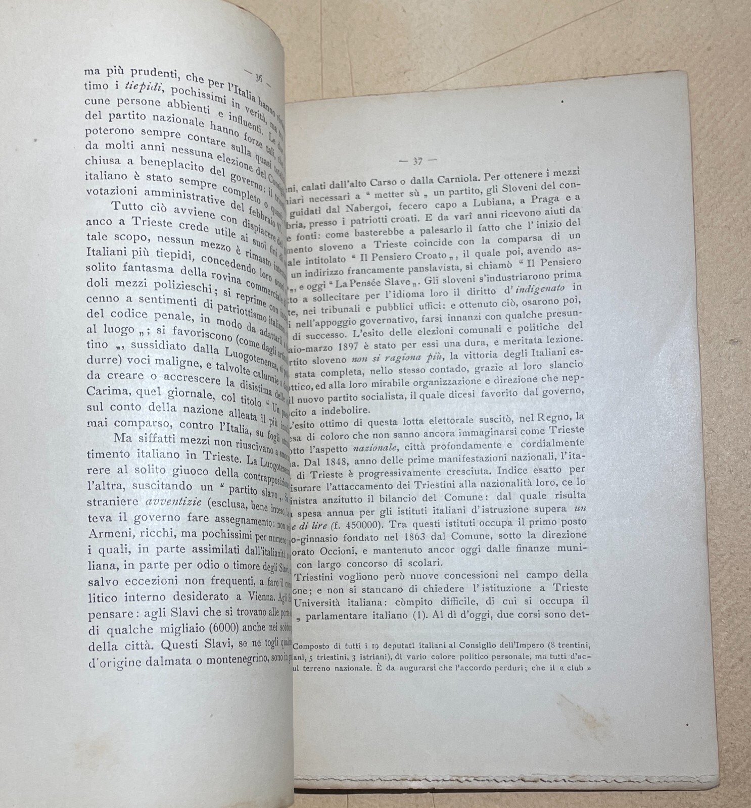 Donato Sanminiatelli: Italianità, Venezia Giulia, Trentino, Malta, Trento E Trieste, 1899