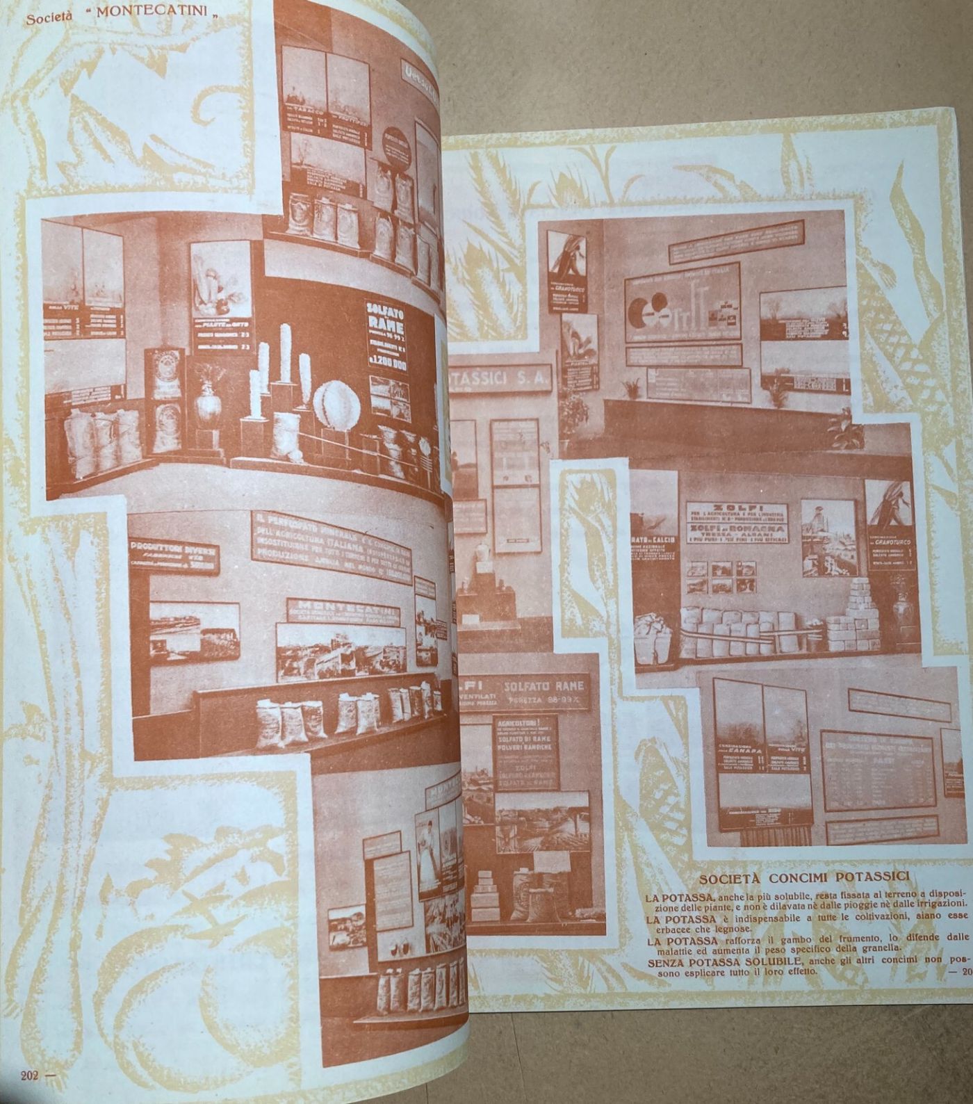 Agraria, Cerealicoltura: Mostra Nazionale Del Grano, 1932. Illustratissima Edizione.