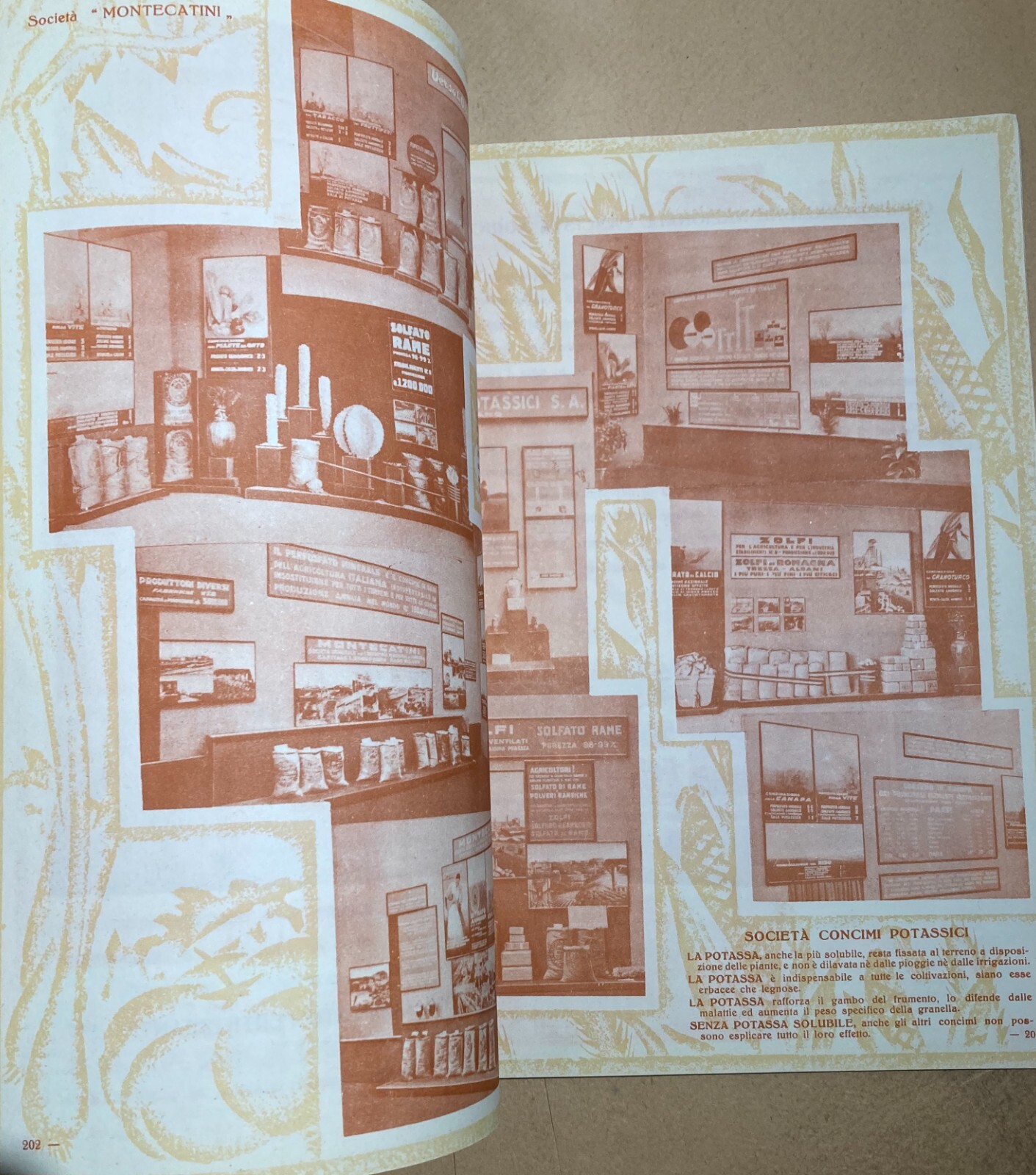 Agraria, Cerealicoltura: Mostra Nazionale Del Grano, 1932. Illustratissima Edizione.
