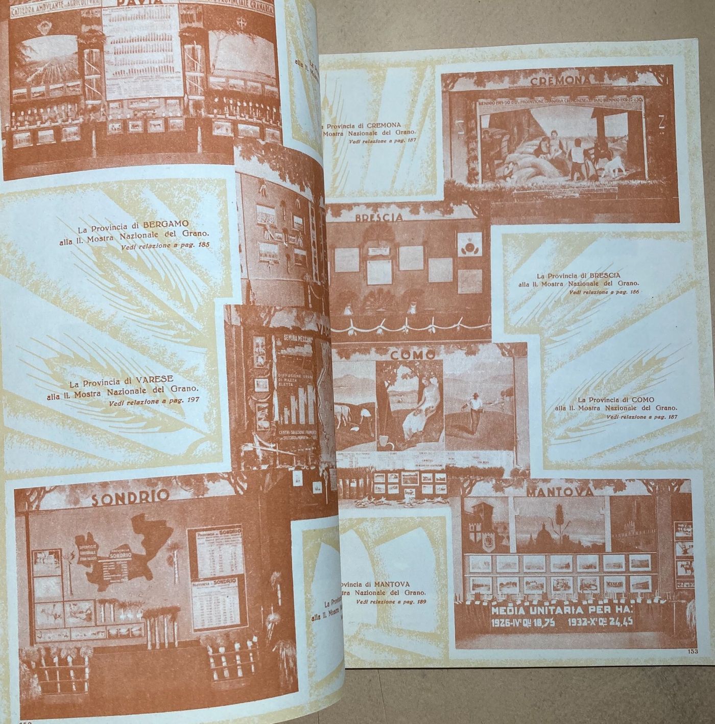 Agraria, Cerealicoltura: Mostra Nazionale Del Grano, 1932. Illustratissima Edizione.
