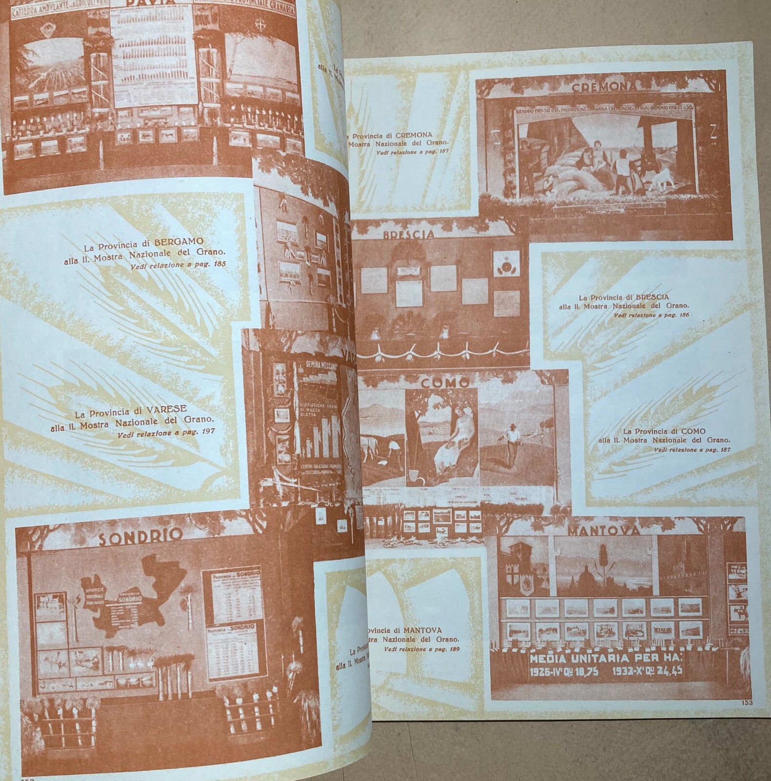 Agraria, Cerealicoltura: Mostra Nazionale Del Grano, 1932. Illustratissima Edizione.
