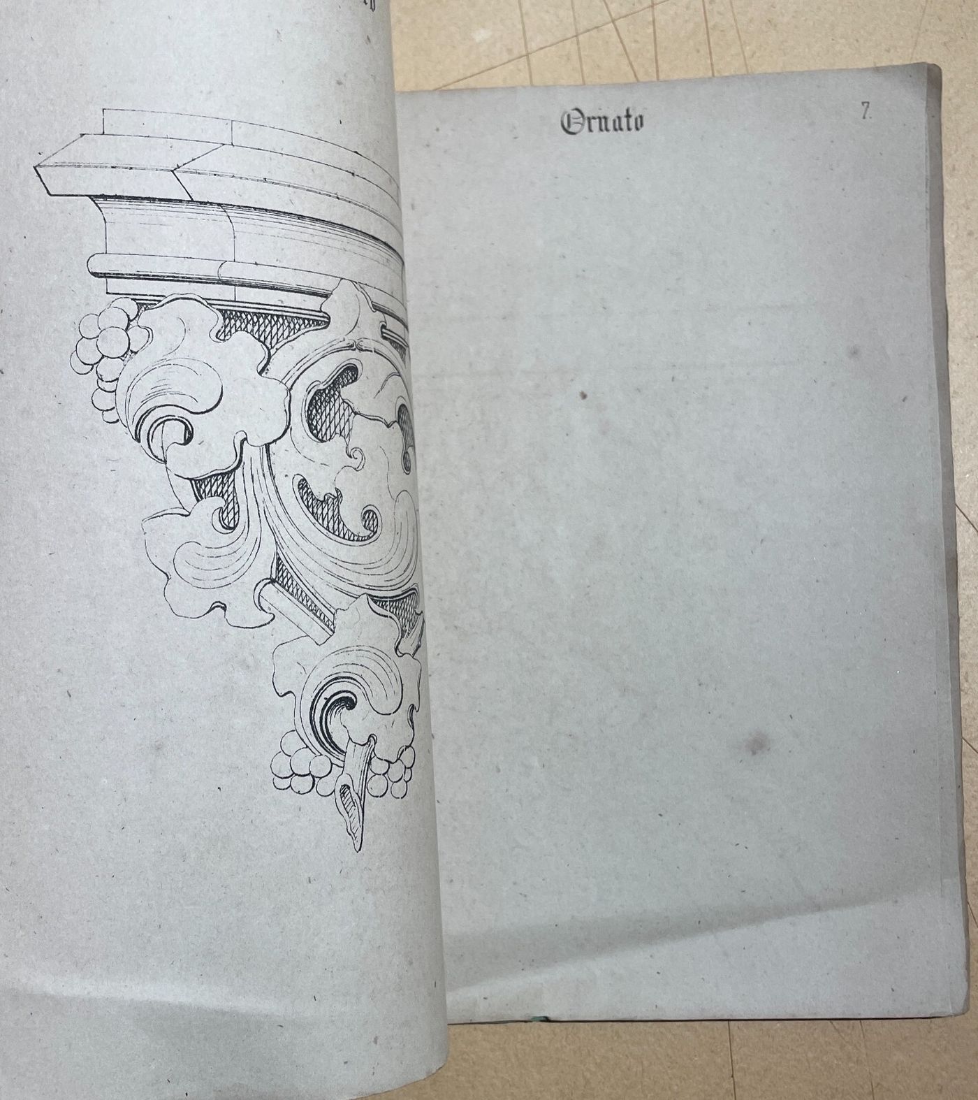 Il Giovine Artista: Esercizi Di Disegno E Ornato   Enrico Gamba, Torino