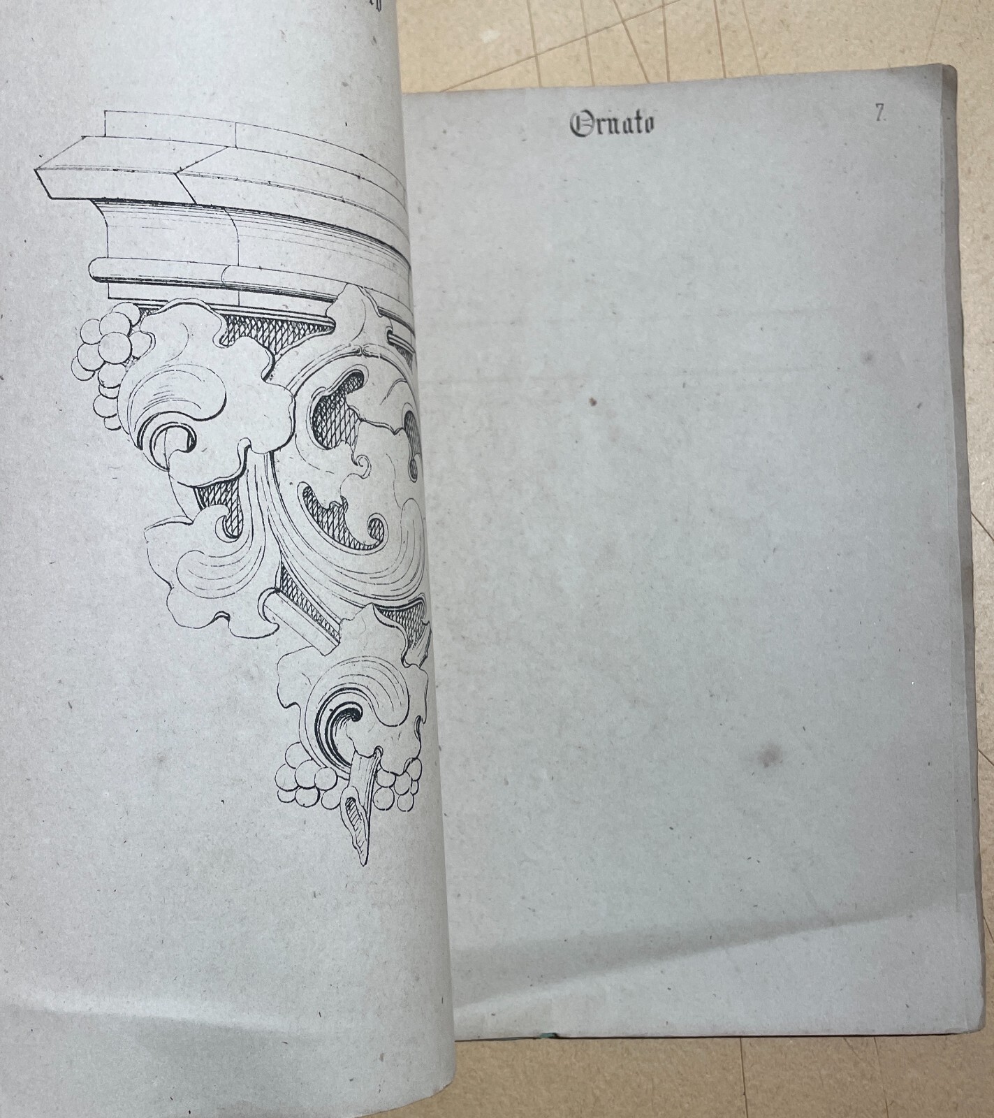 Il Giovine Artista: Esercizi Di Disegno E Ornato Enrico Gamba, Torino