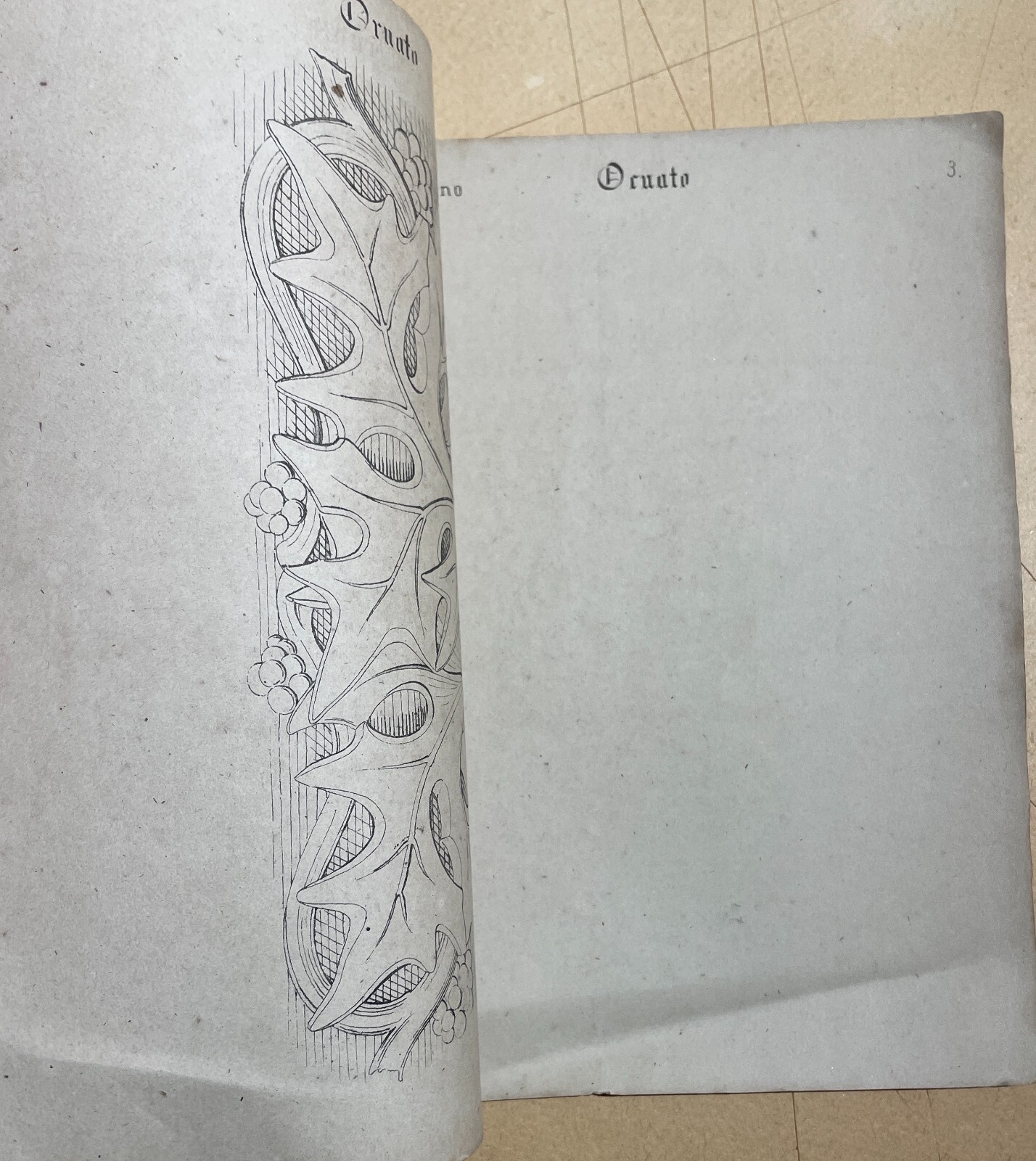 Il Giovine Artista: Esercizi Di Disegno E Ornato Enrico Gamba, Torino
