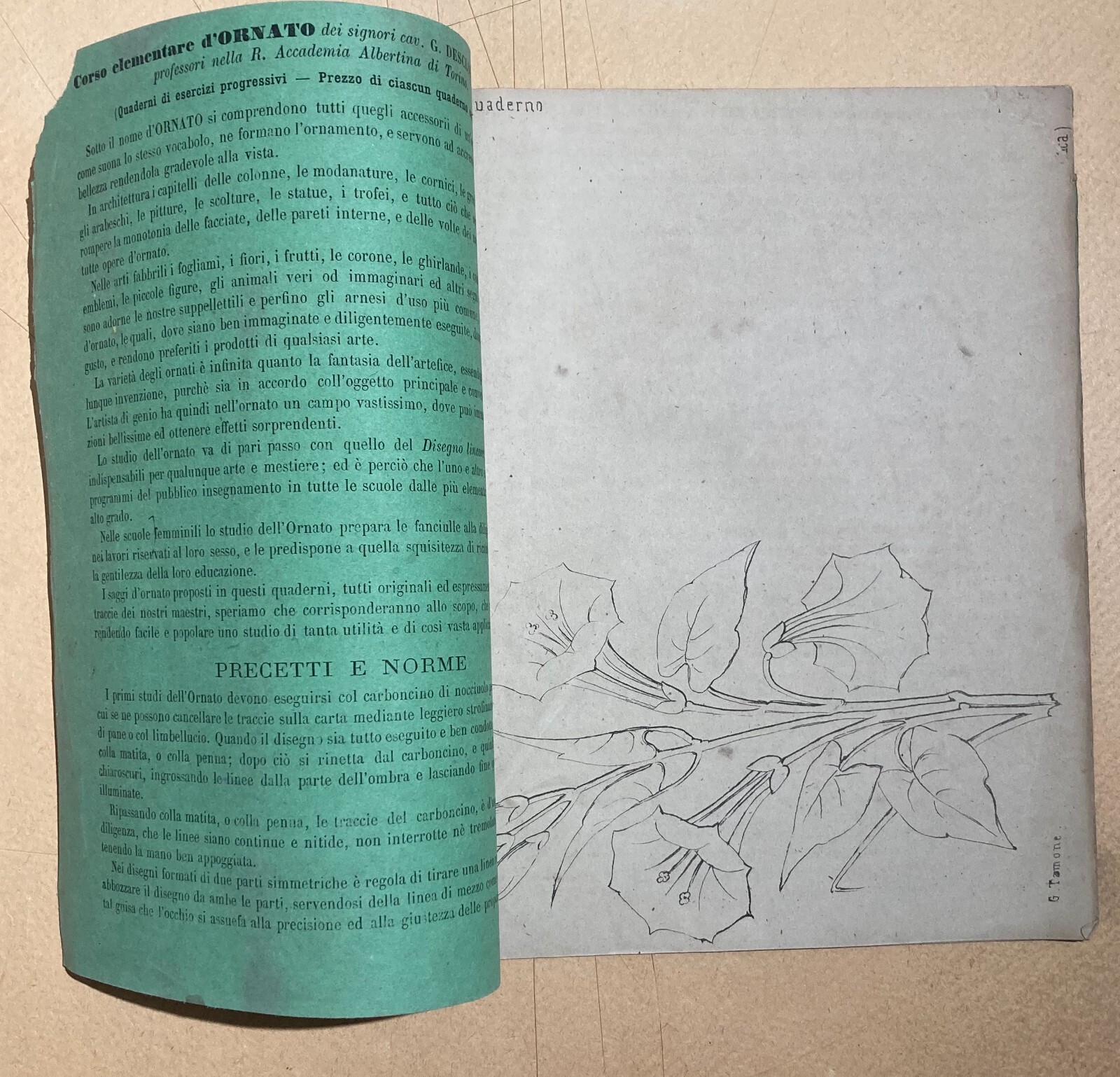 Esercizi Di Disegno: Il Giovine Artista. Gamba, Tamone. Torino, Accademia Albertina.