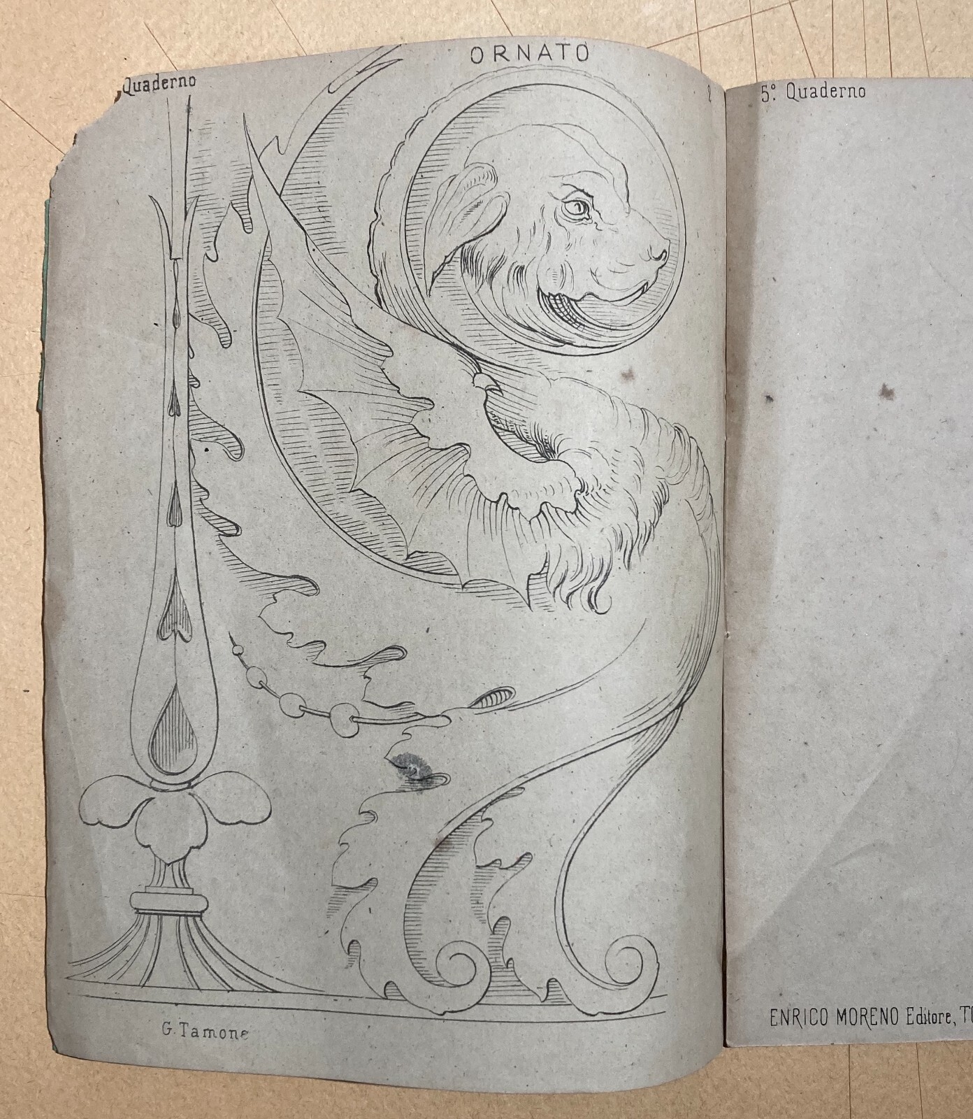 Esercizi Di Disegno: Il Giovine Artista. Gamba, Tamone. Torino, Accademia Albertina.