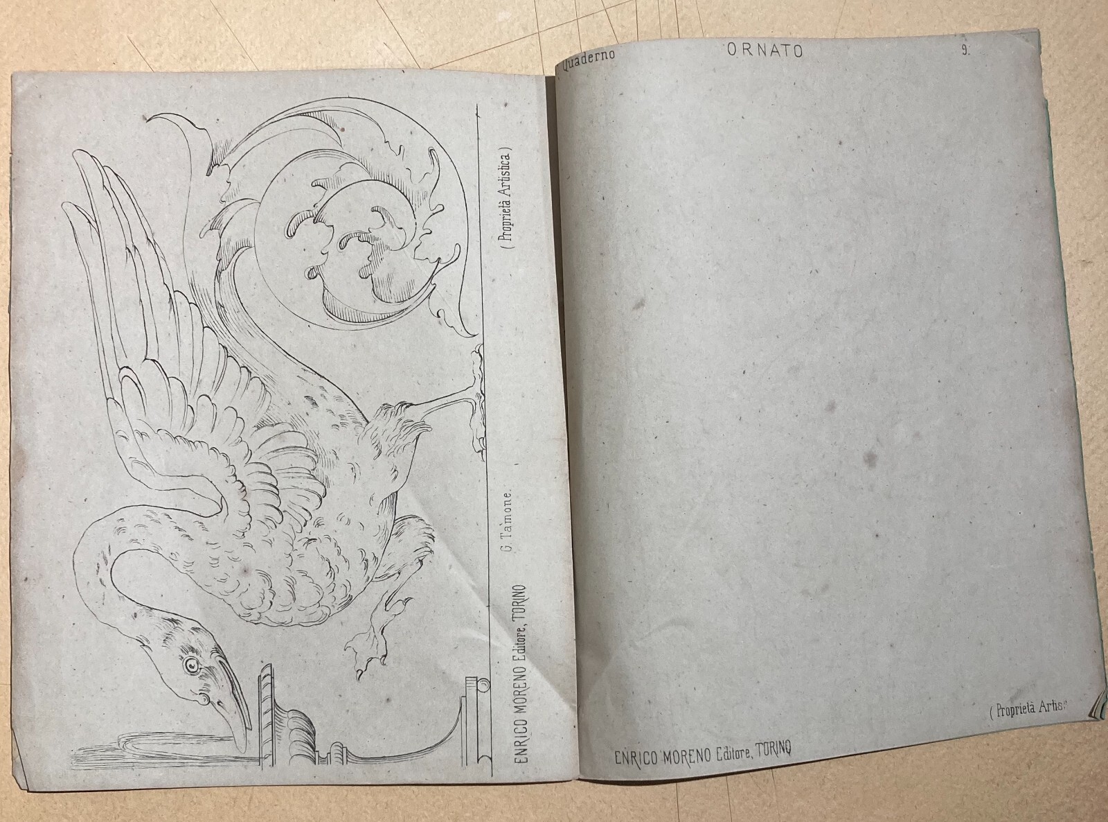 Esercizi Di Disegno: Il Giovine Artista. Gamba, Tamone. Torino, Accademia Albertina.