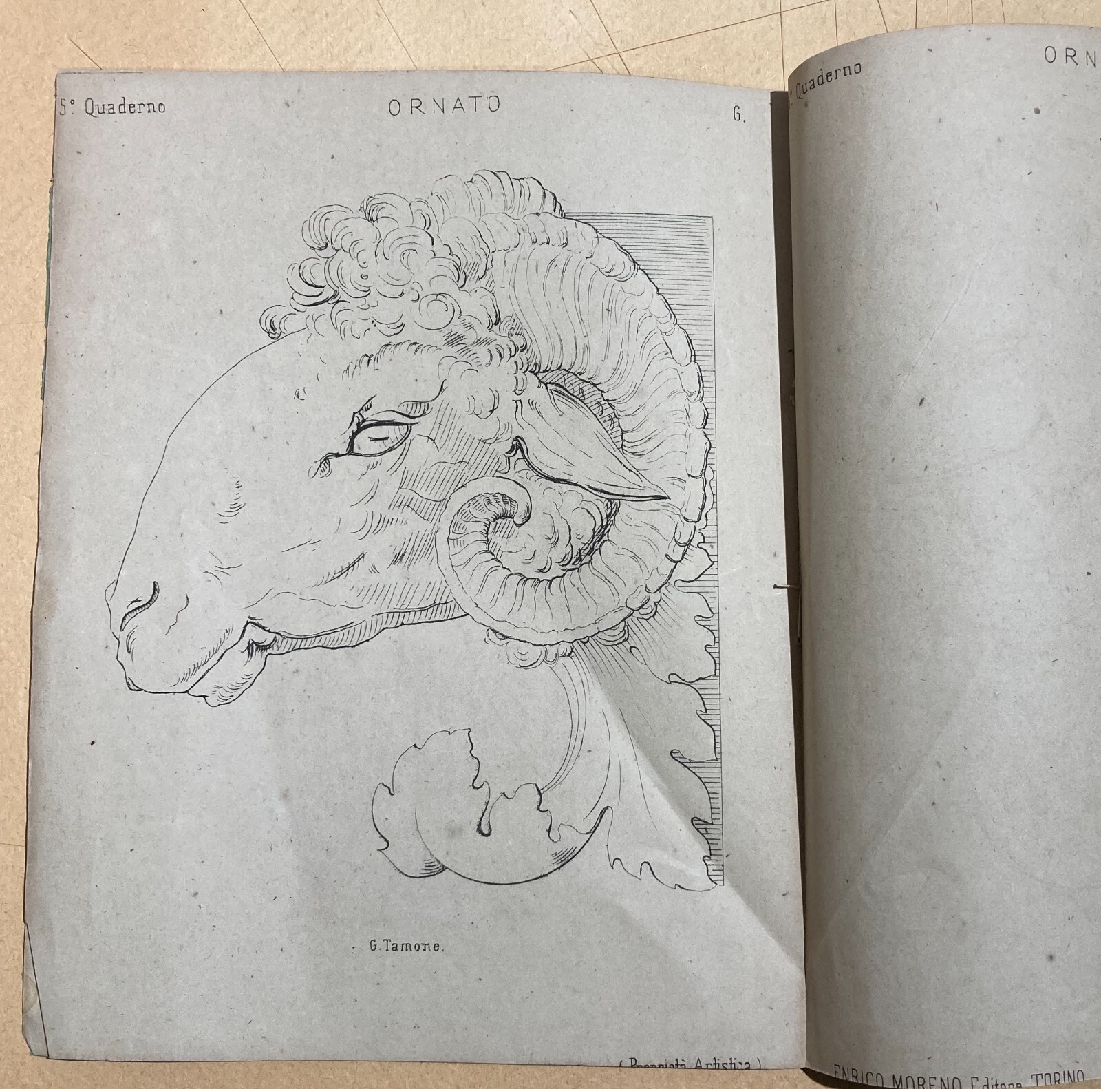 Esercizi Di Disegno: Il Giovine Artista. Gamba, Tamone. Torino, Accademia Albertina.