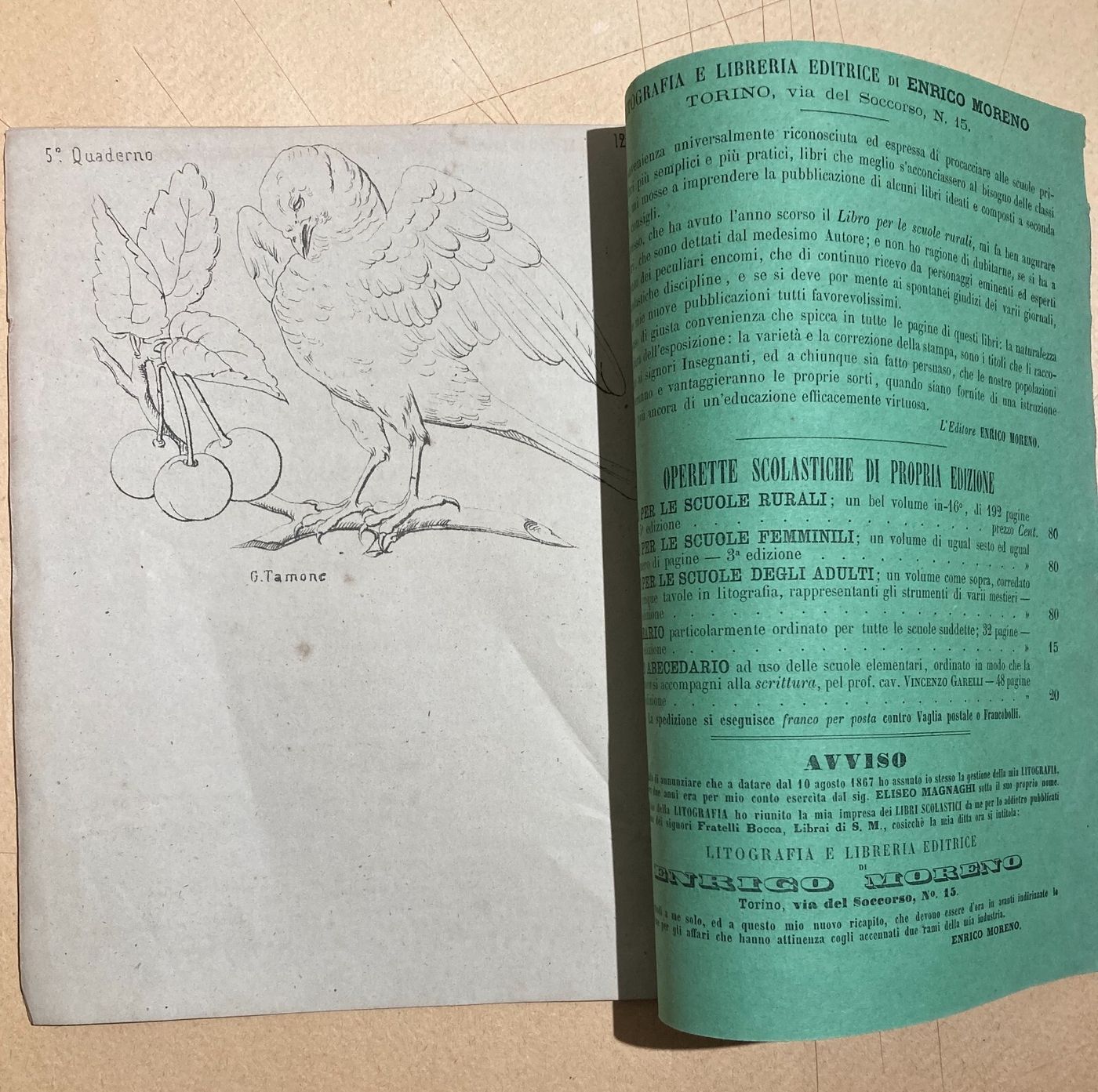 Esercizi Di Disegno: Il Giovine Artista. Gamba, Tamone. Torino, Accademia Albertina.