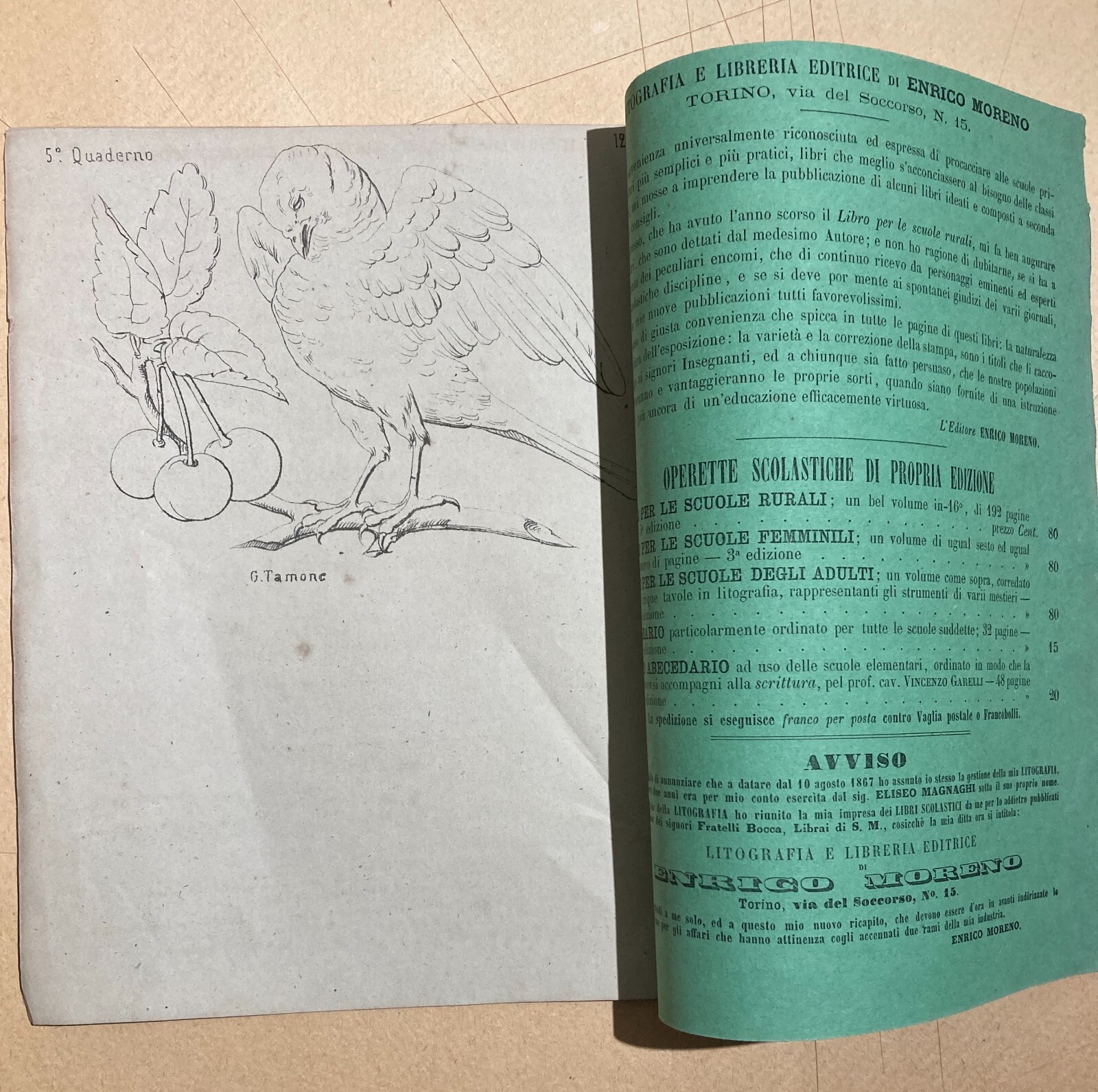Esercizi Di Disegno: Il Giovine Artista. Gamba, Tamone. Torino, Accademia Albertina.