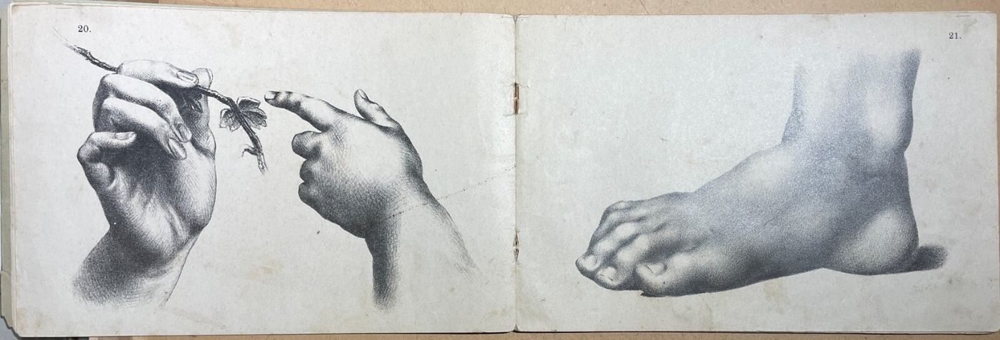 Arte, Disegno, Corso Didattico, Studio Di Figura: Raccolta Di Tavole Litografiche