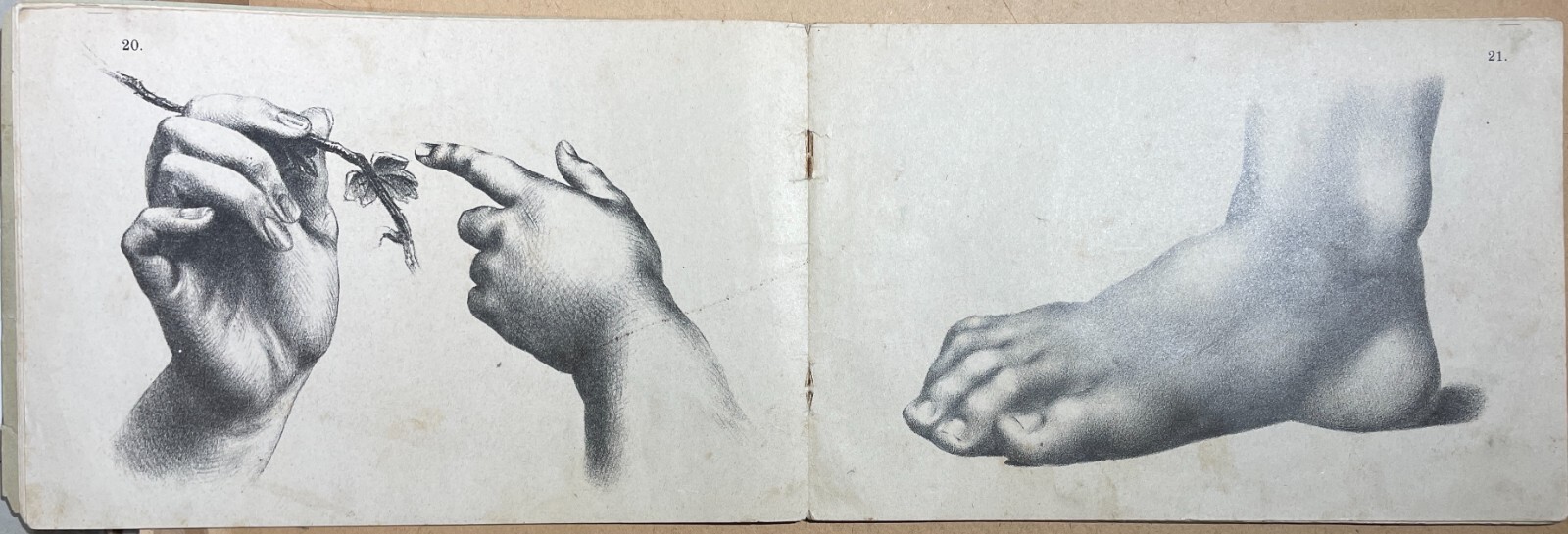 Arte, Disegno, Corso Didattico, Studio Di Figura: Raccolta Di Tavole Litografiche