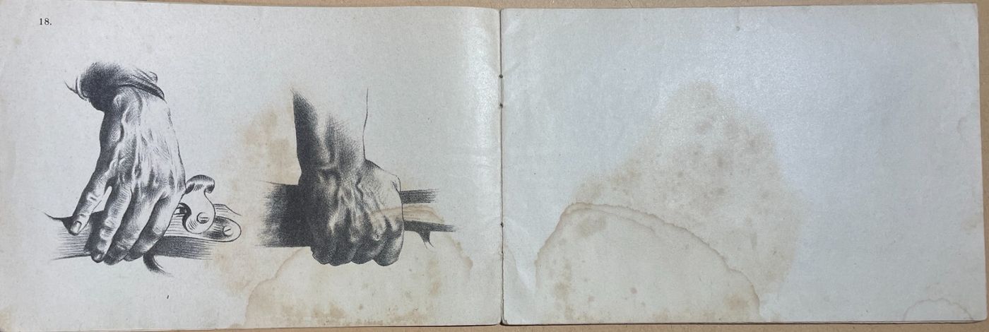 Arte, Disegno, Corso Didattico, Studio Di Figura: Raccolta Di Tavole Litografiche