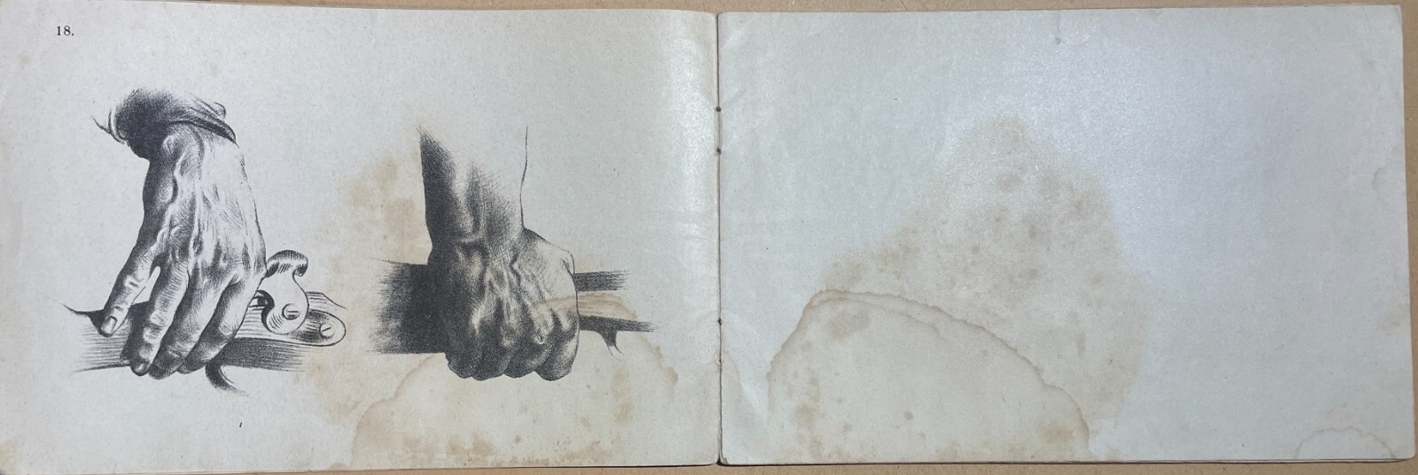 Arte, Disegno, Corso Didattico, Studio Di Figura: Raccolta Di Tavole Litografiche