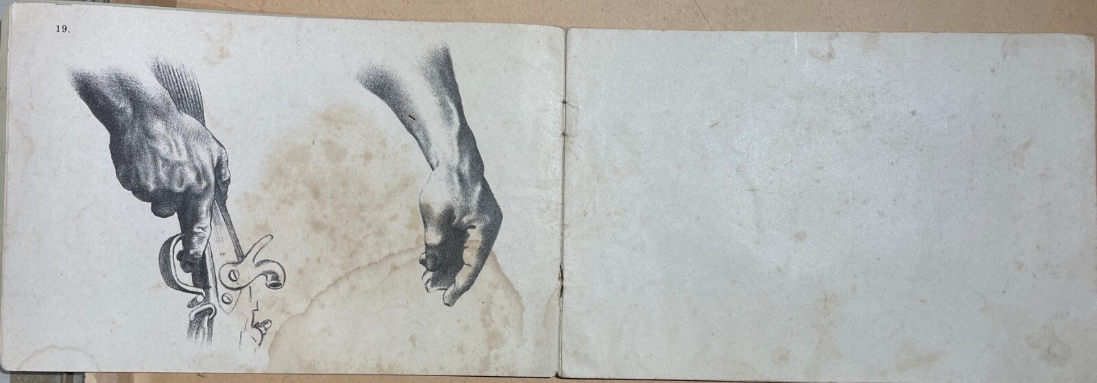 Arte, Disegno, Corso Didattico, Studio Di Figura: Raccolta Di Tavole Litografiche