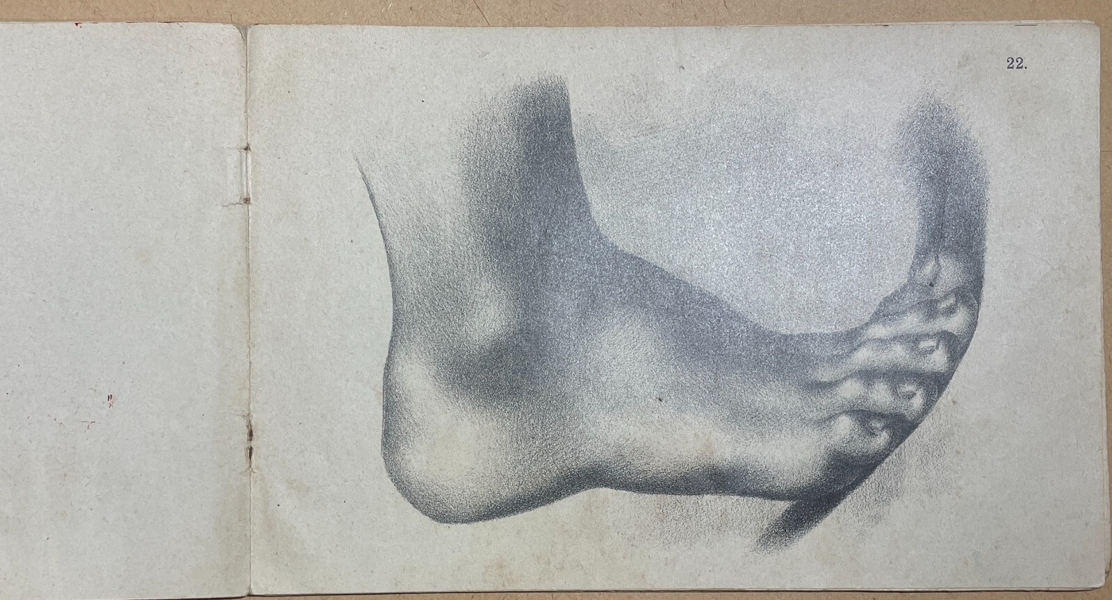 Arte, Disegno, Corso Didattico, Studio Di Figura: Raccolta Di Tavole Litografiche