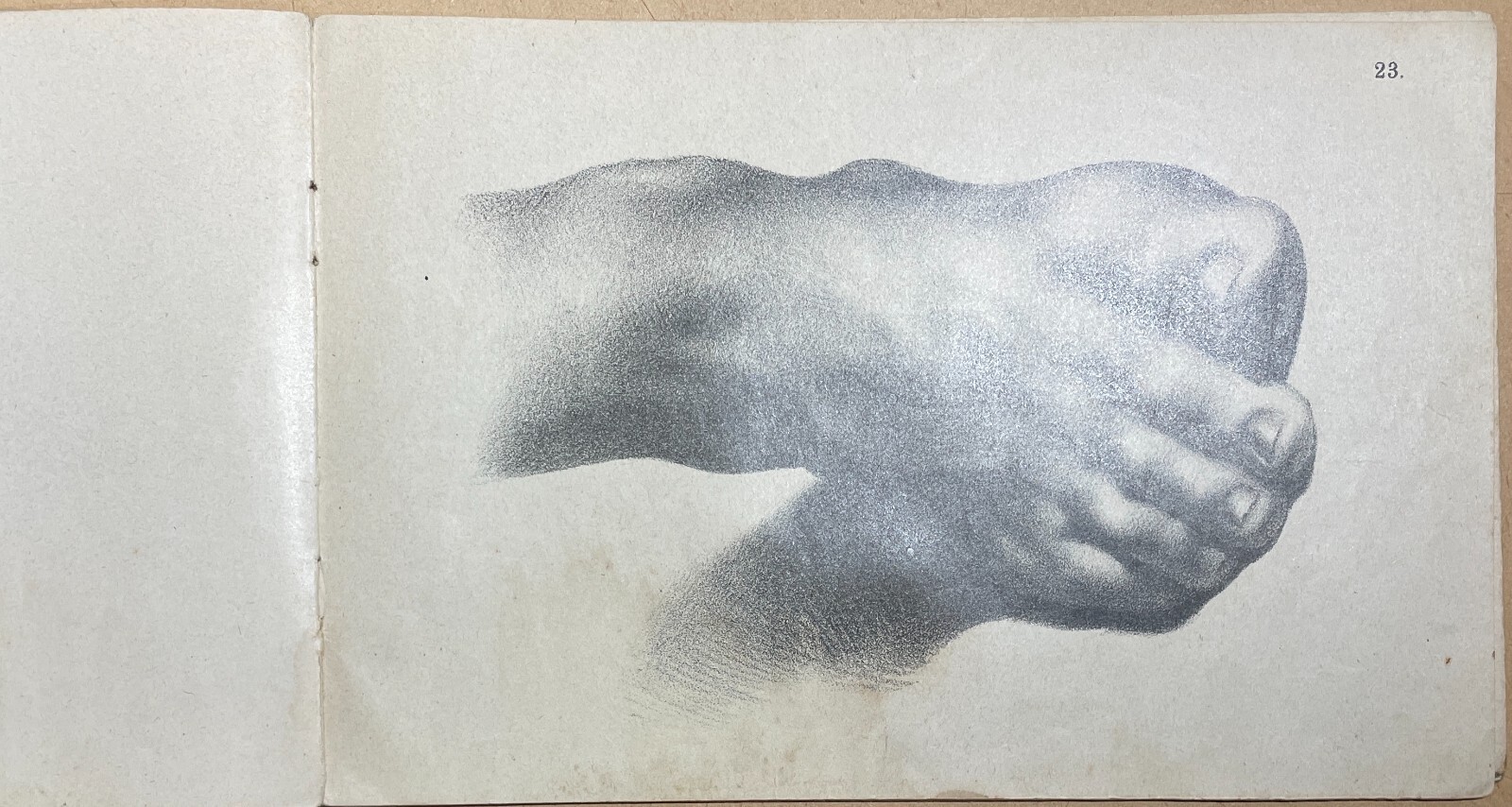Arte, Disegno, Corso Didattico, Studio Di Figura: Raccolta Di Tavole Litografiche
