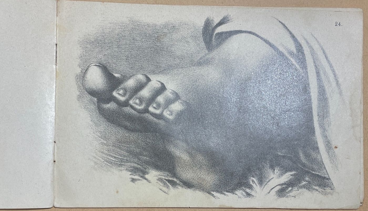 Arte, Disegno, Corso Didattico, Studio Di Figura: Raccolta Di Tavole Litografiche